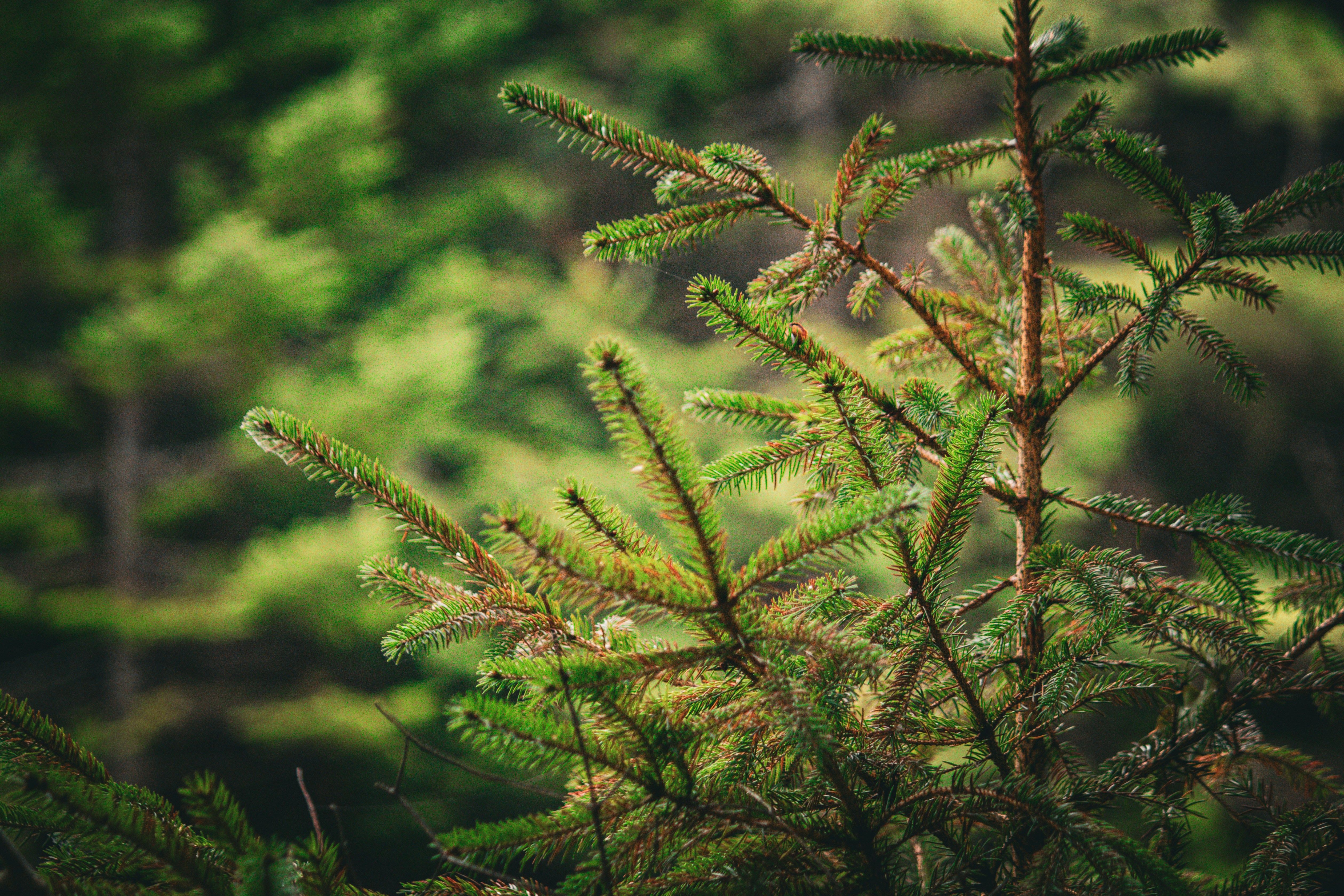 Photo by richiemortis