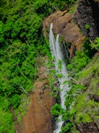 A waterfall in the middle of a lush green forest