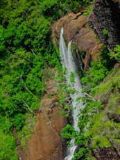 A waterfall in the middle of a lush green forest