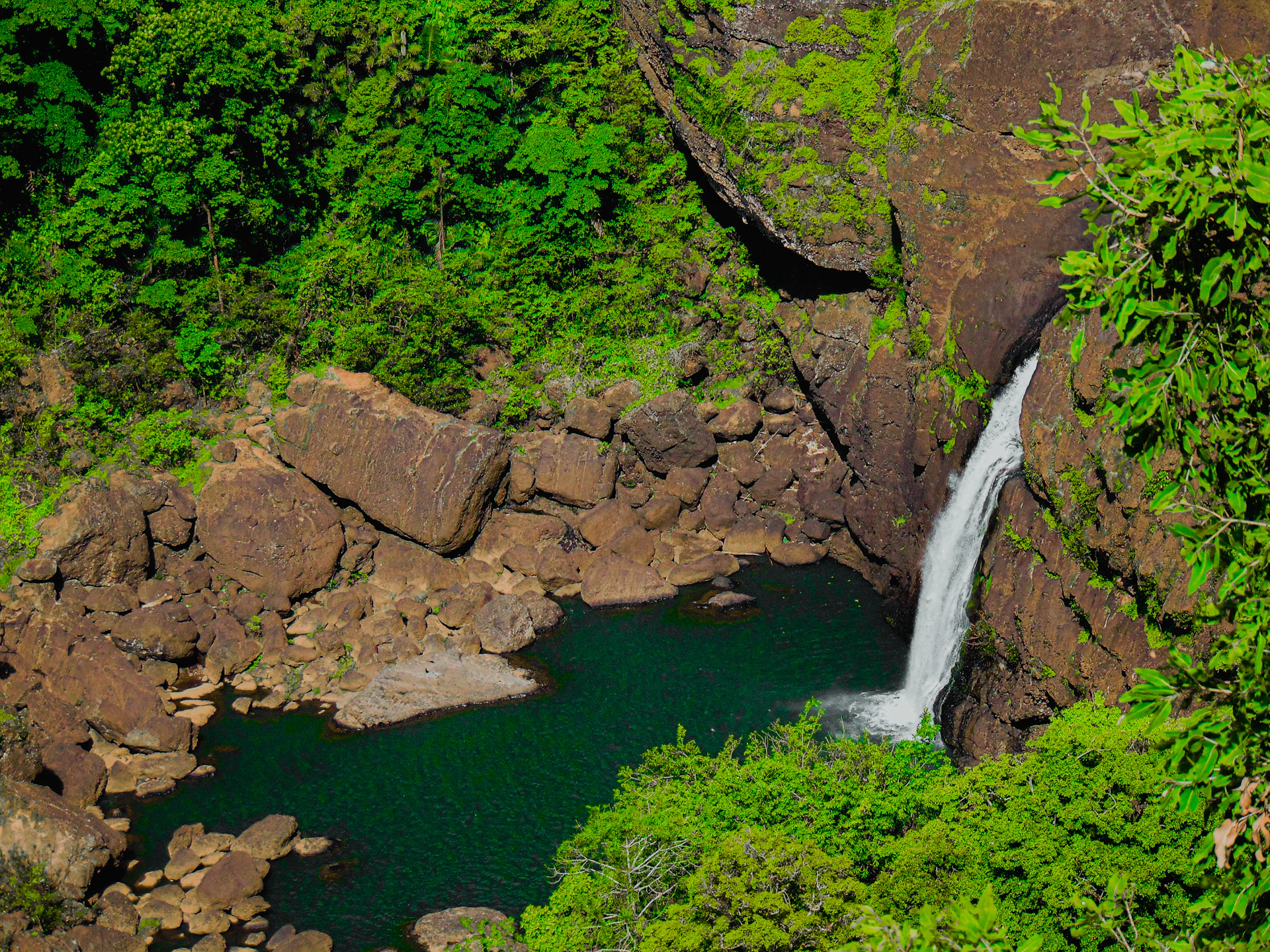 A waterfall in the middle of a lush green forest