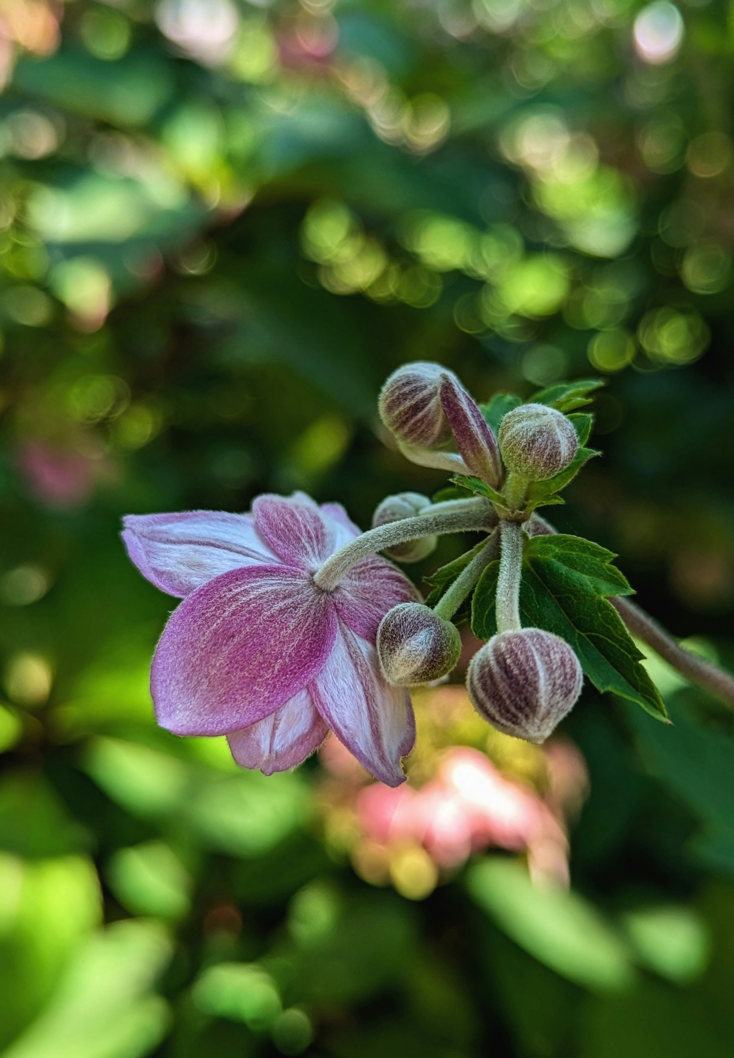 Photo by auntcake49