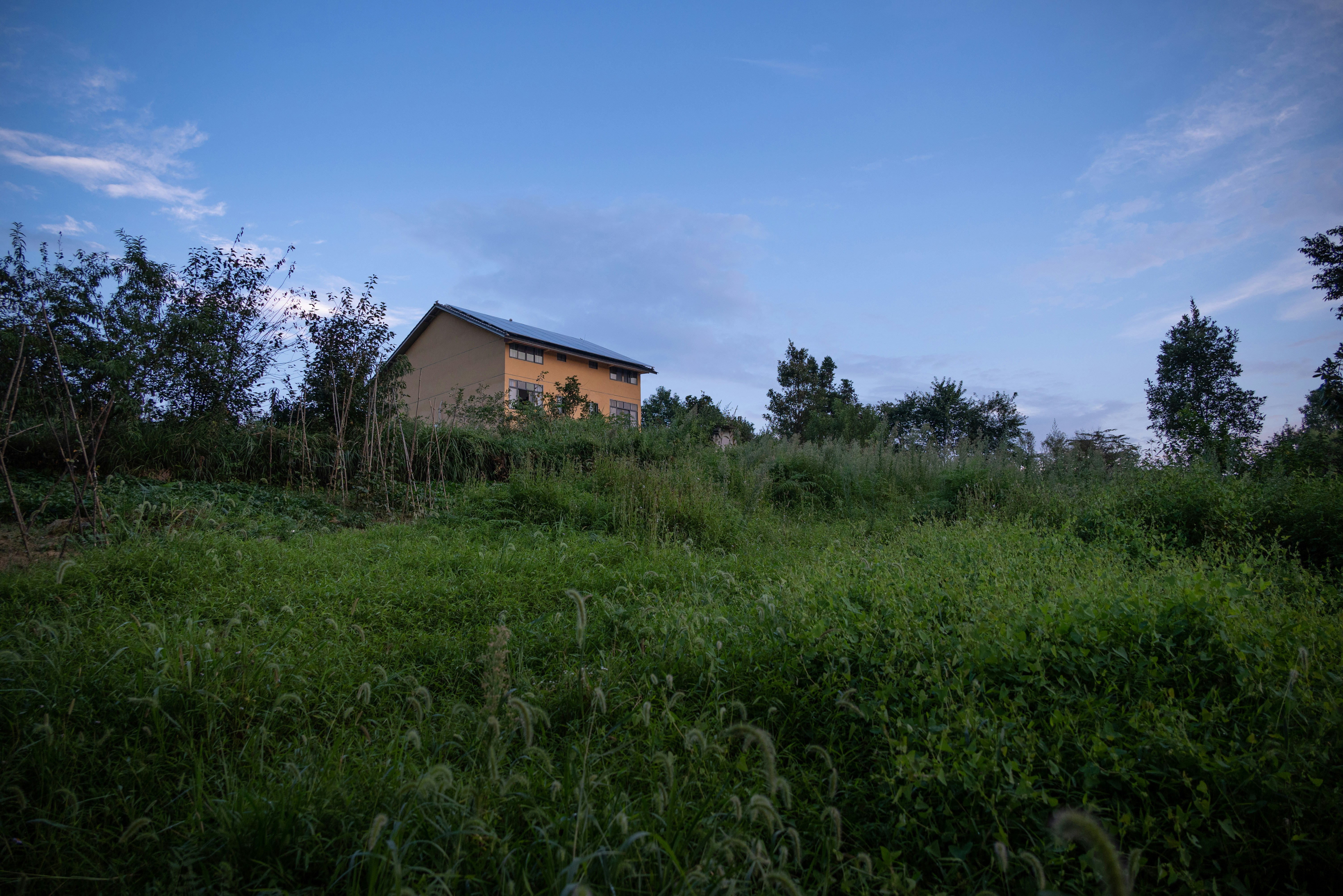 Photo by nikol_royce