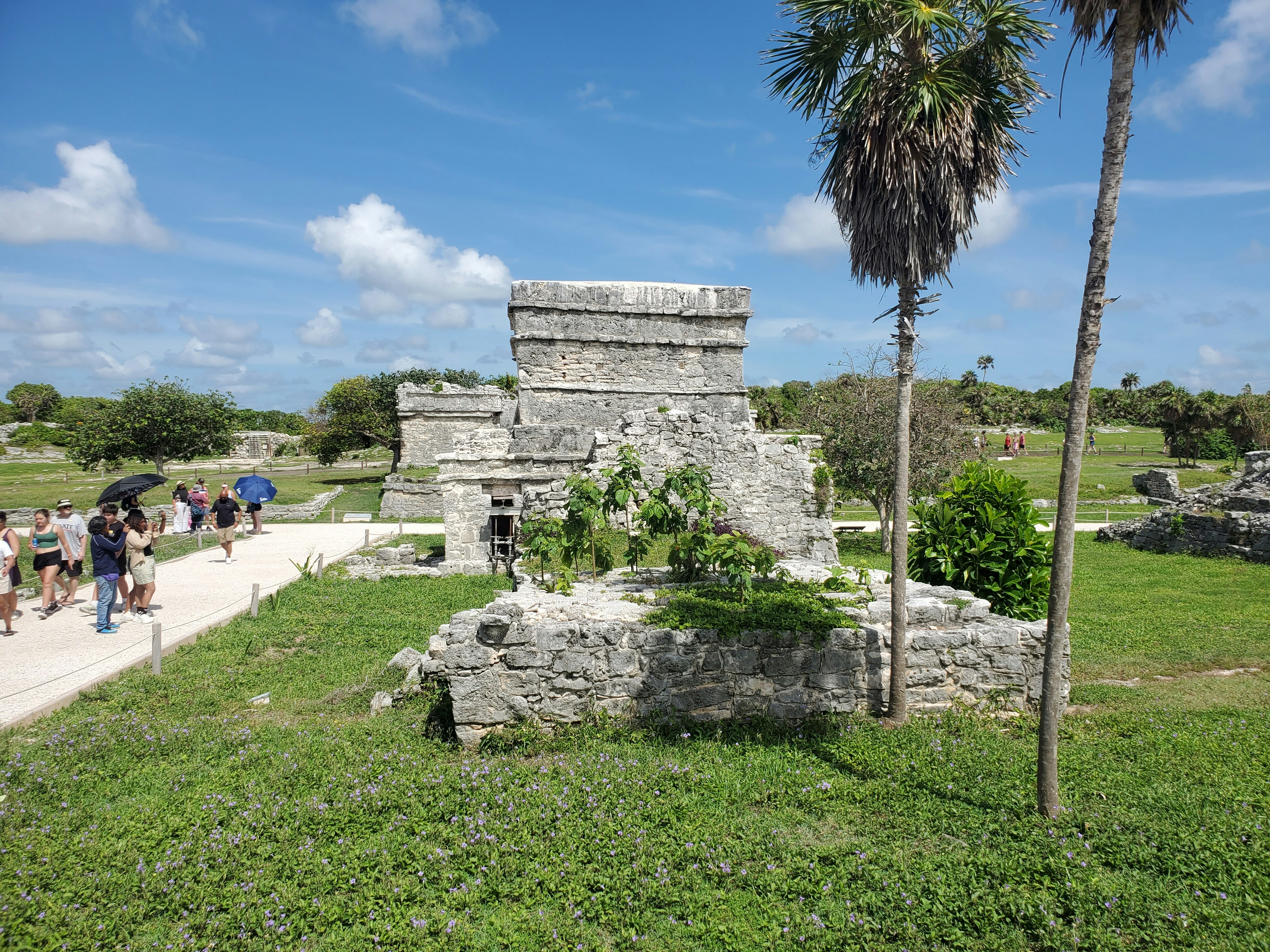 A group of people walking down a path next to a palm tree