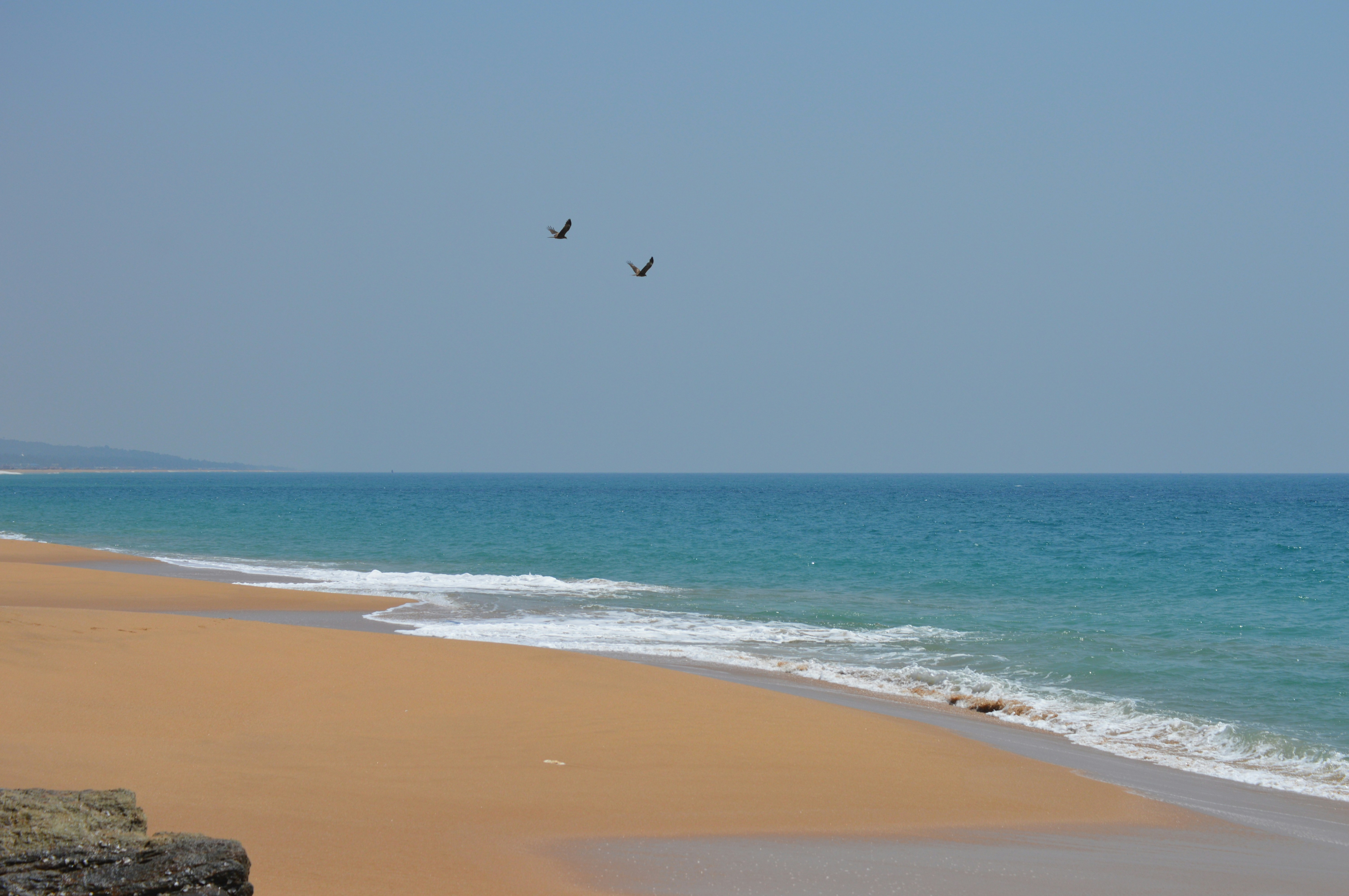 Photo by jithinvijayamohanan