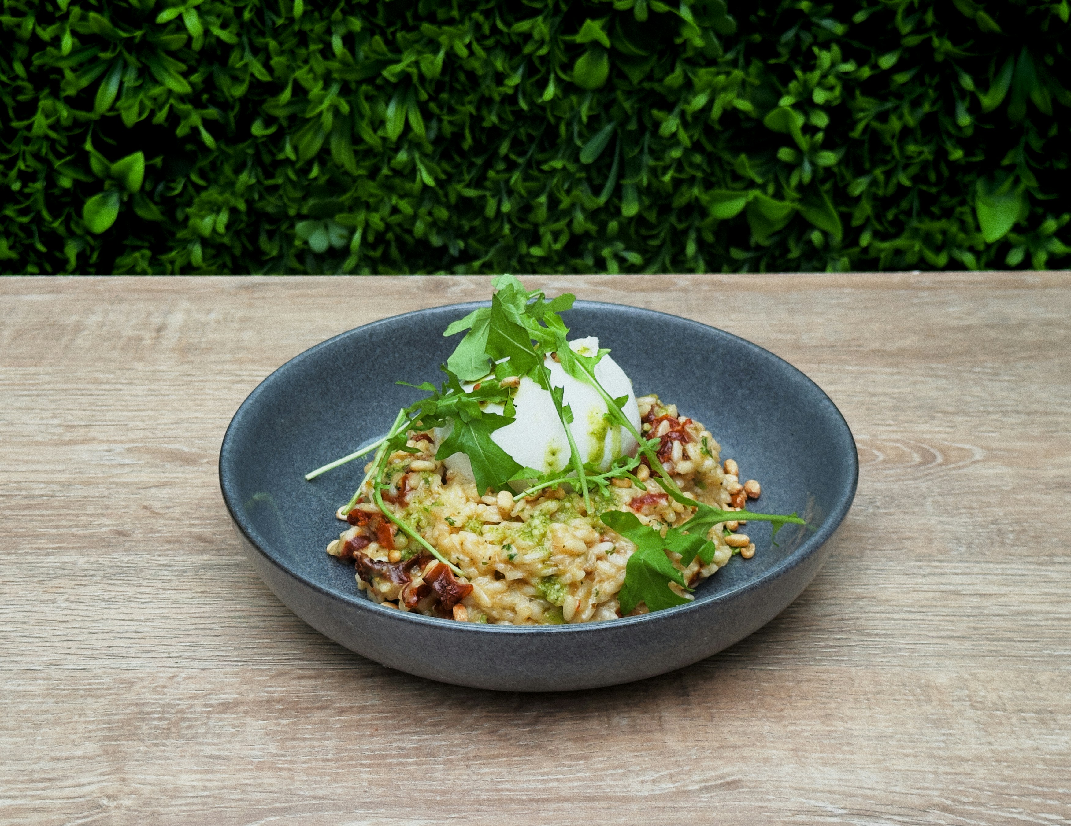 Photo by ginasauckland