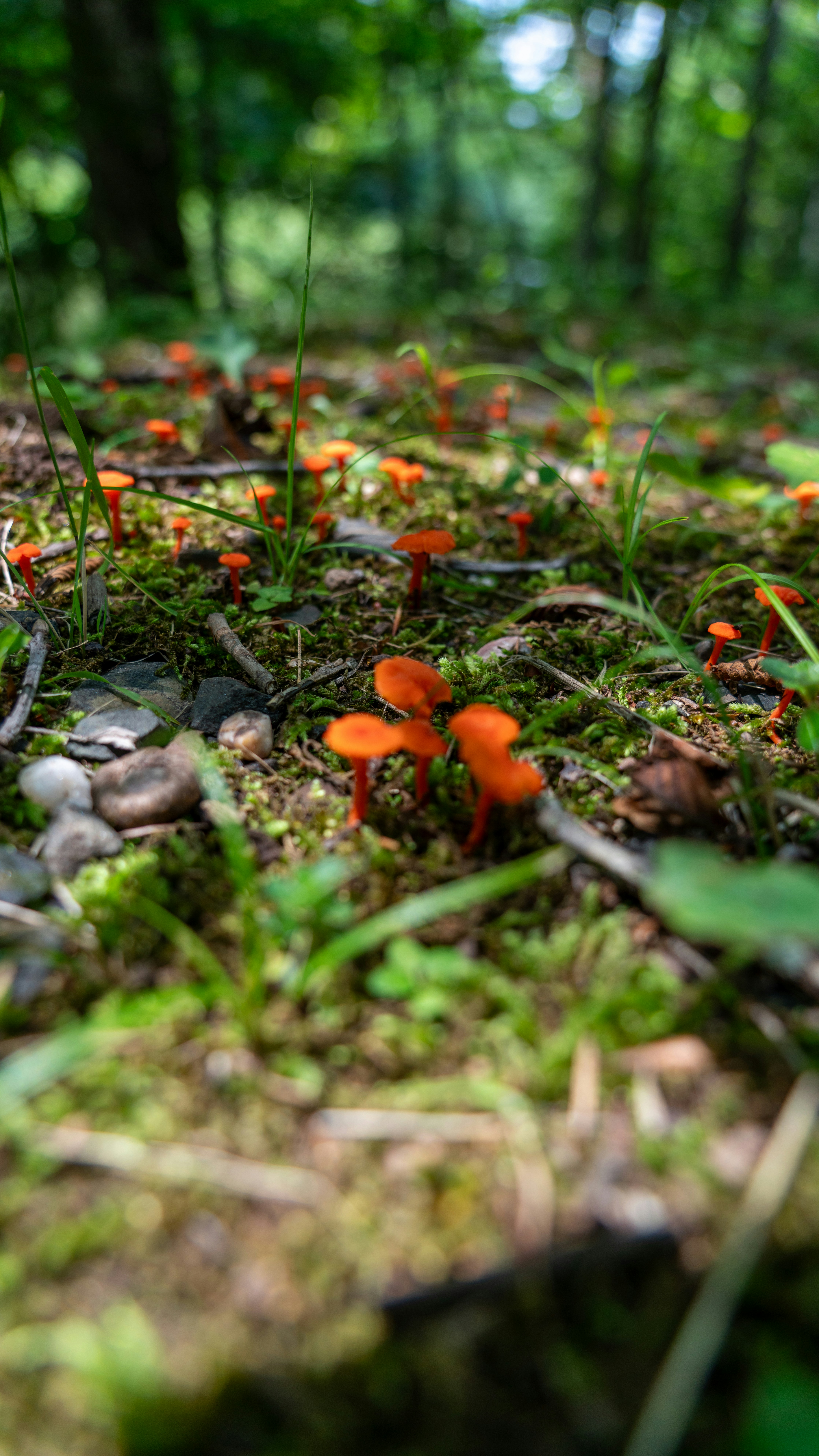 Photo by oculareuphoria