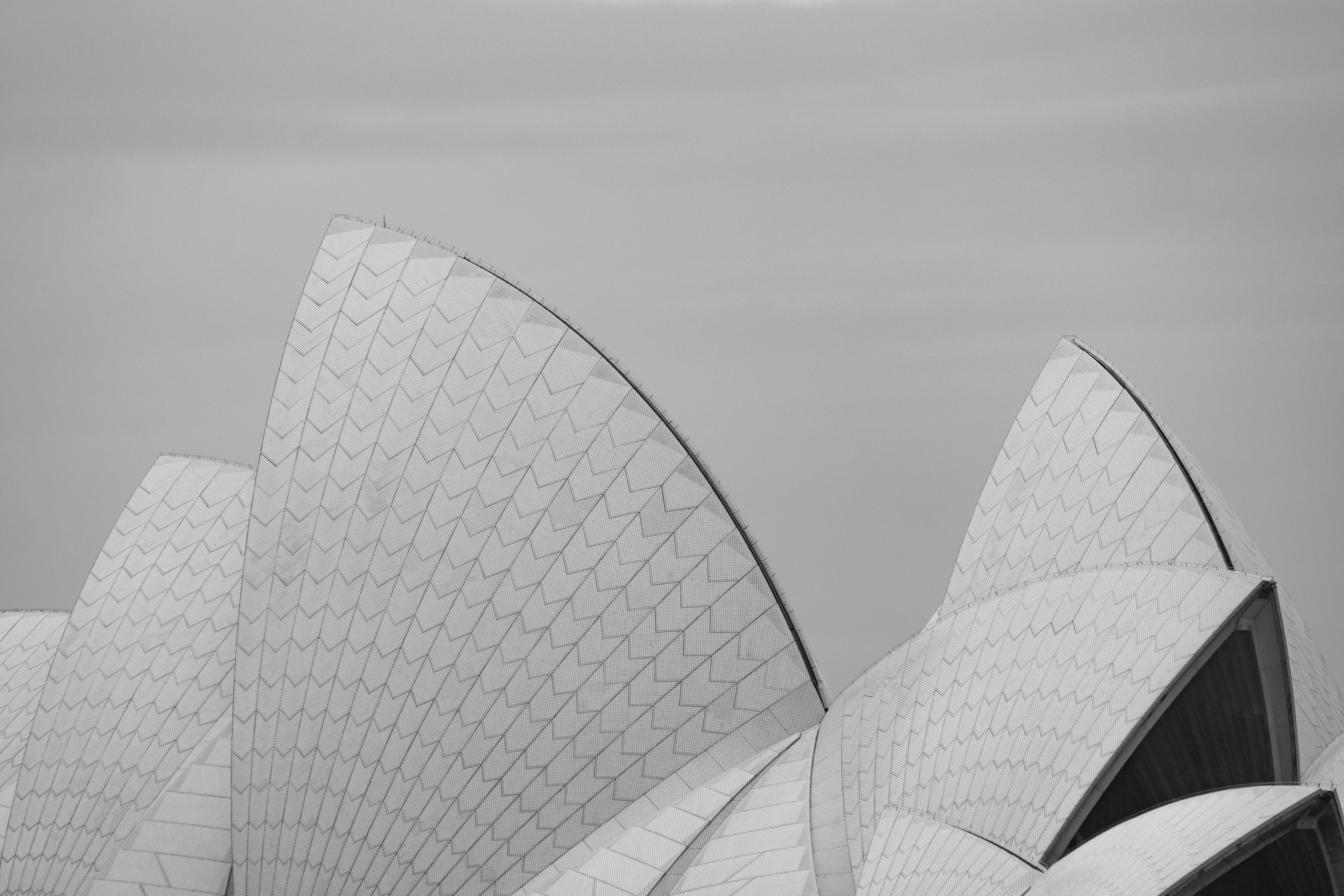 A black and white photo of the sydney opera house