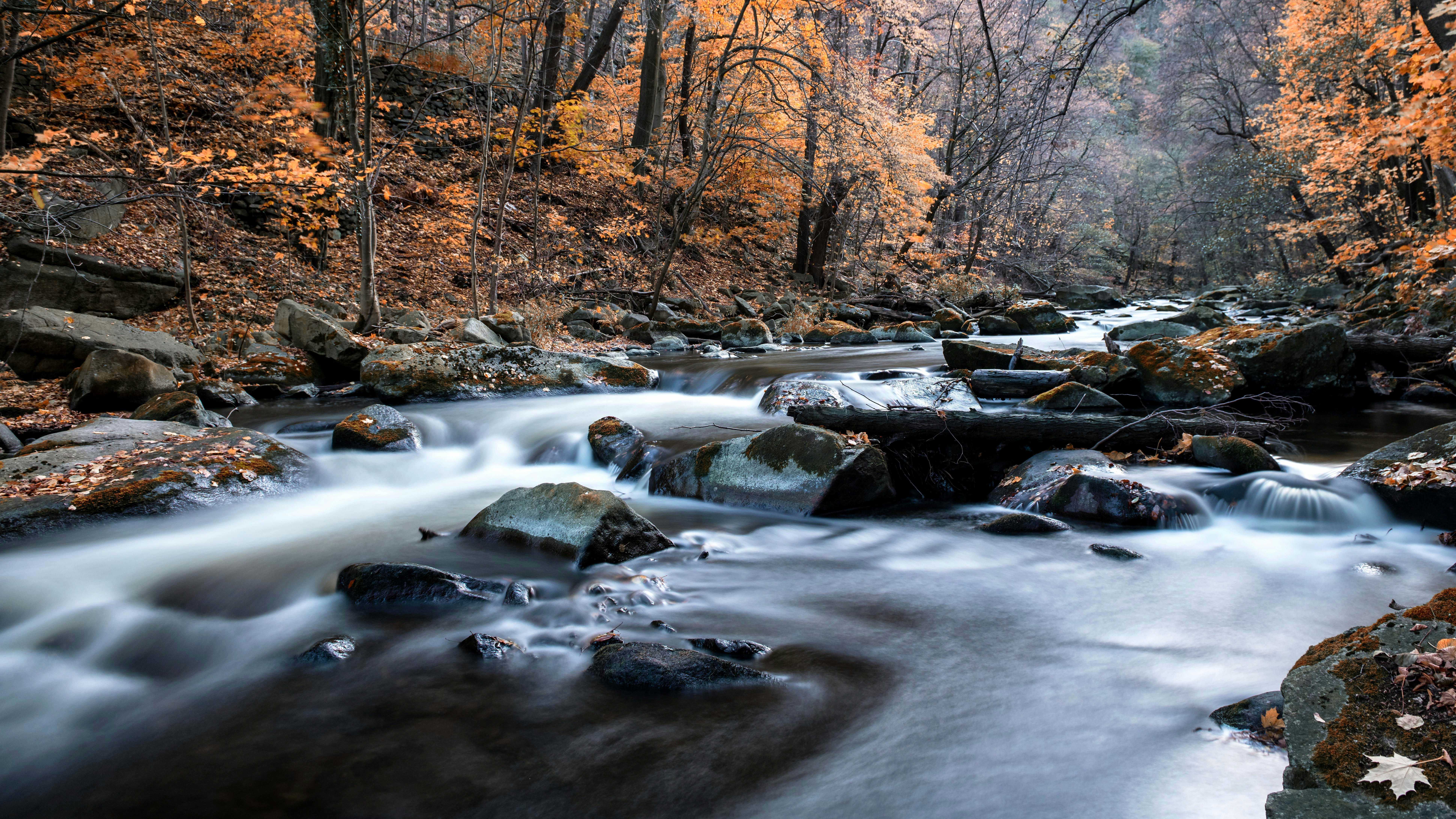 Photo by hamburgmeinefreundin