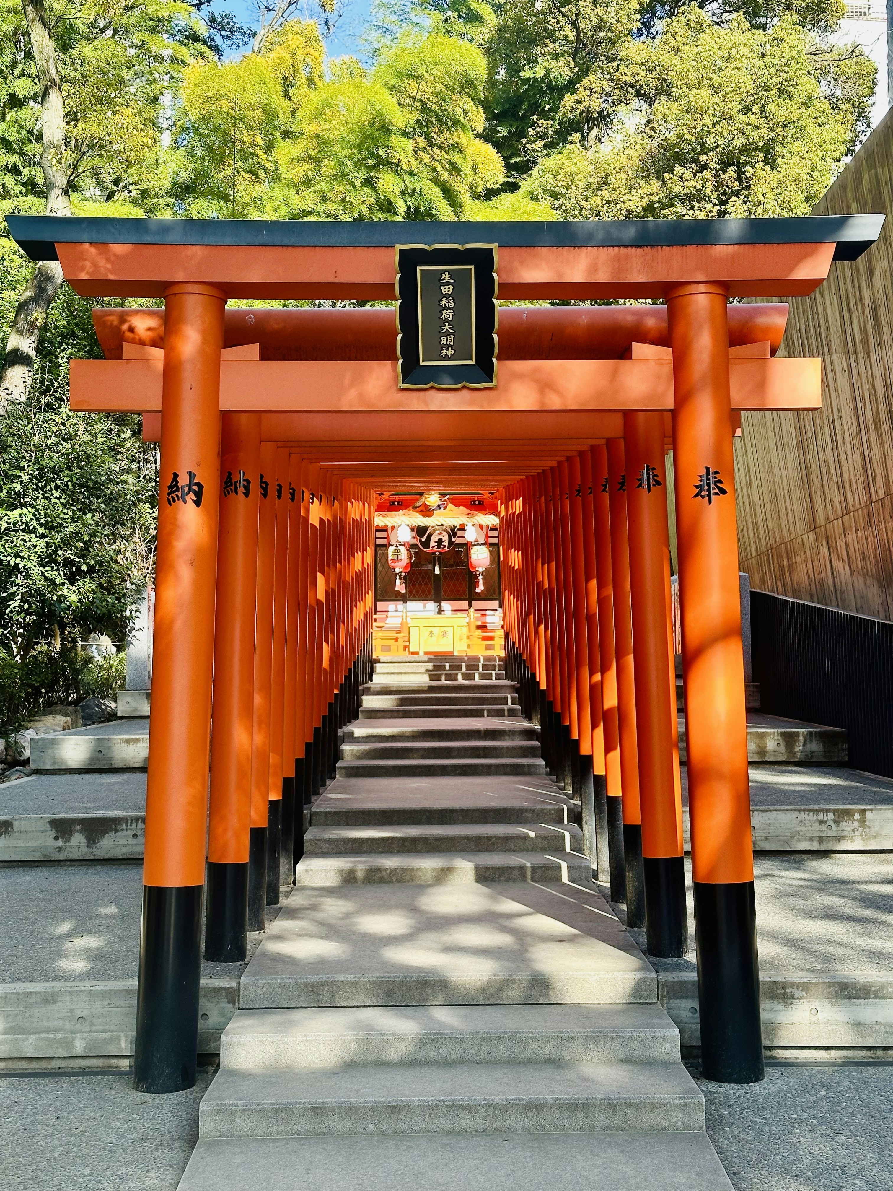 A row of orange tori tori tori tori tori tori tori tori tori tori tori tori