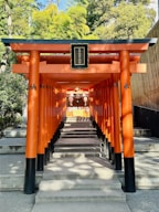 A row of orange tori tori tori tori tori tori tori tori tori tori tori tori