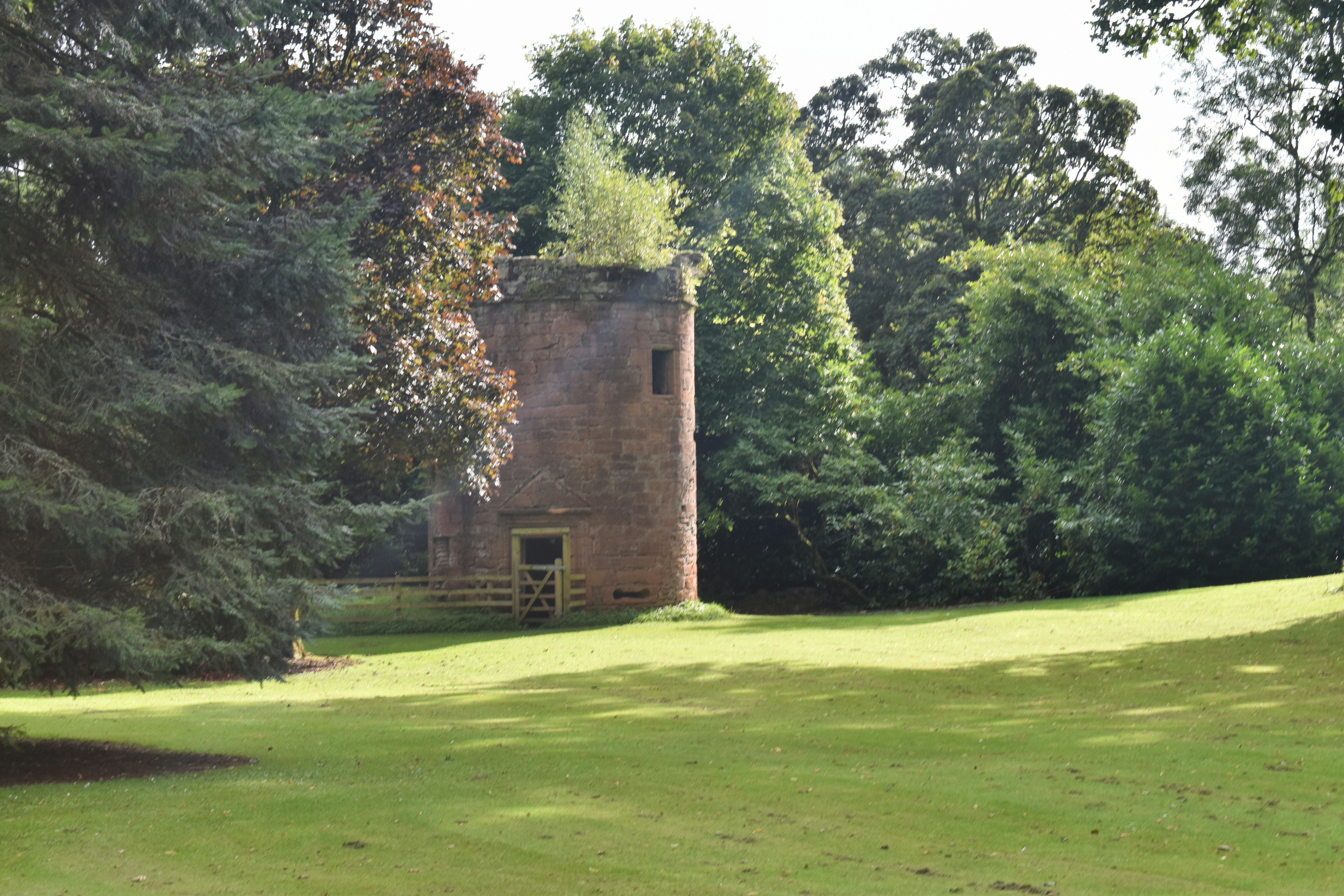 Photo by andrew_hall