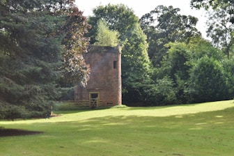 A large grassy field with a tower in the background