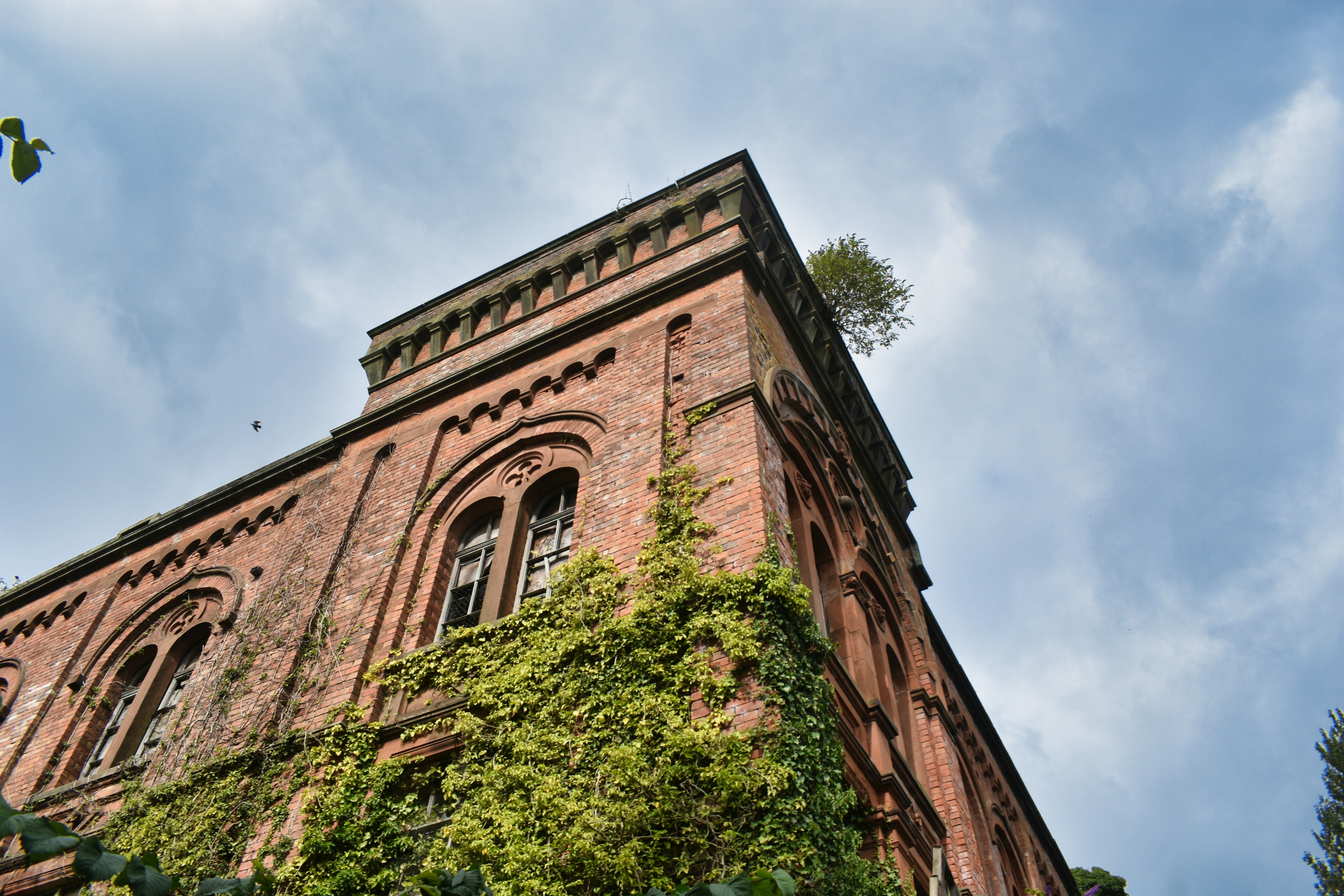 A tall brick building with vines growing on it