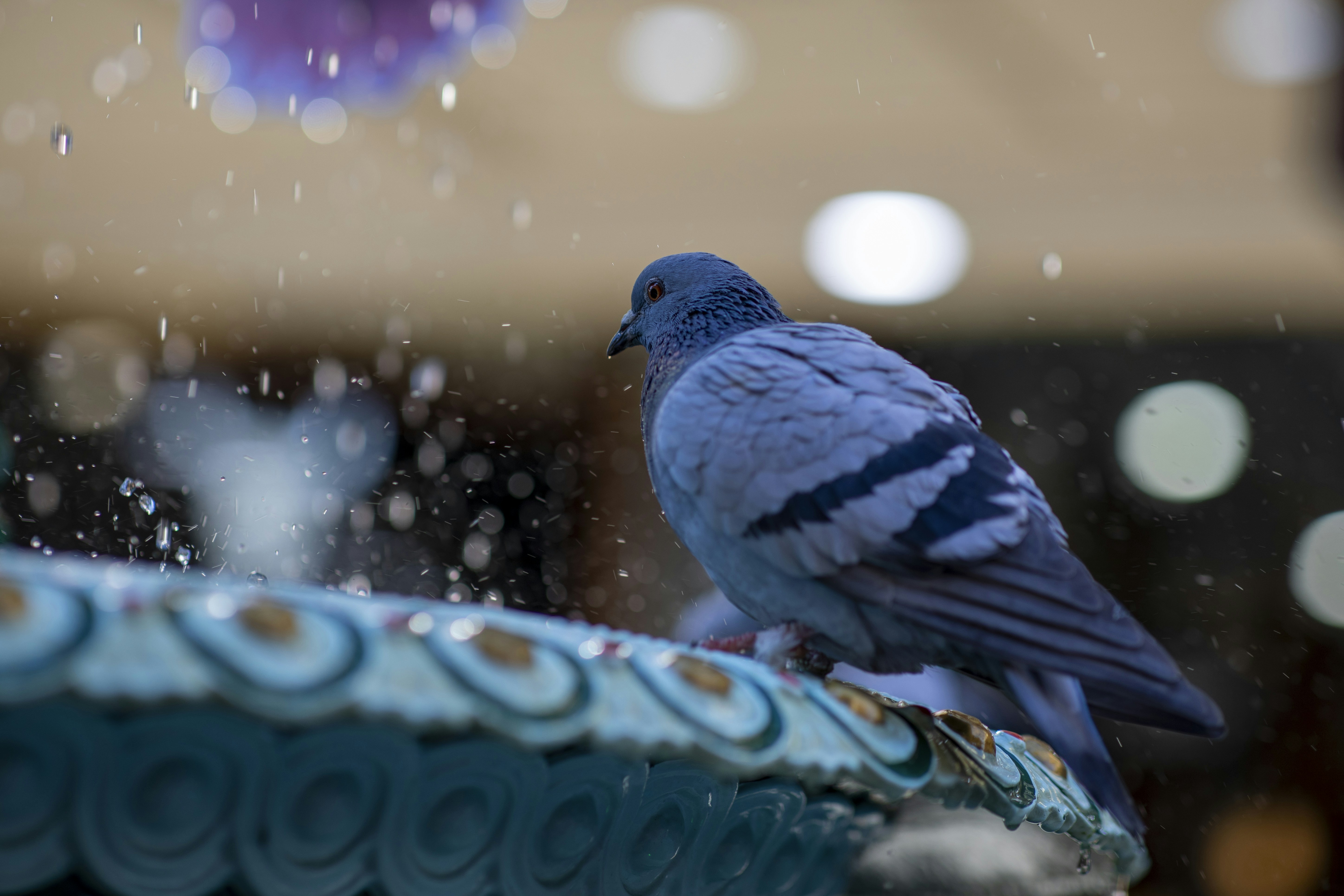 A blue bird sitting on top of a blue bowl