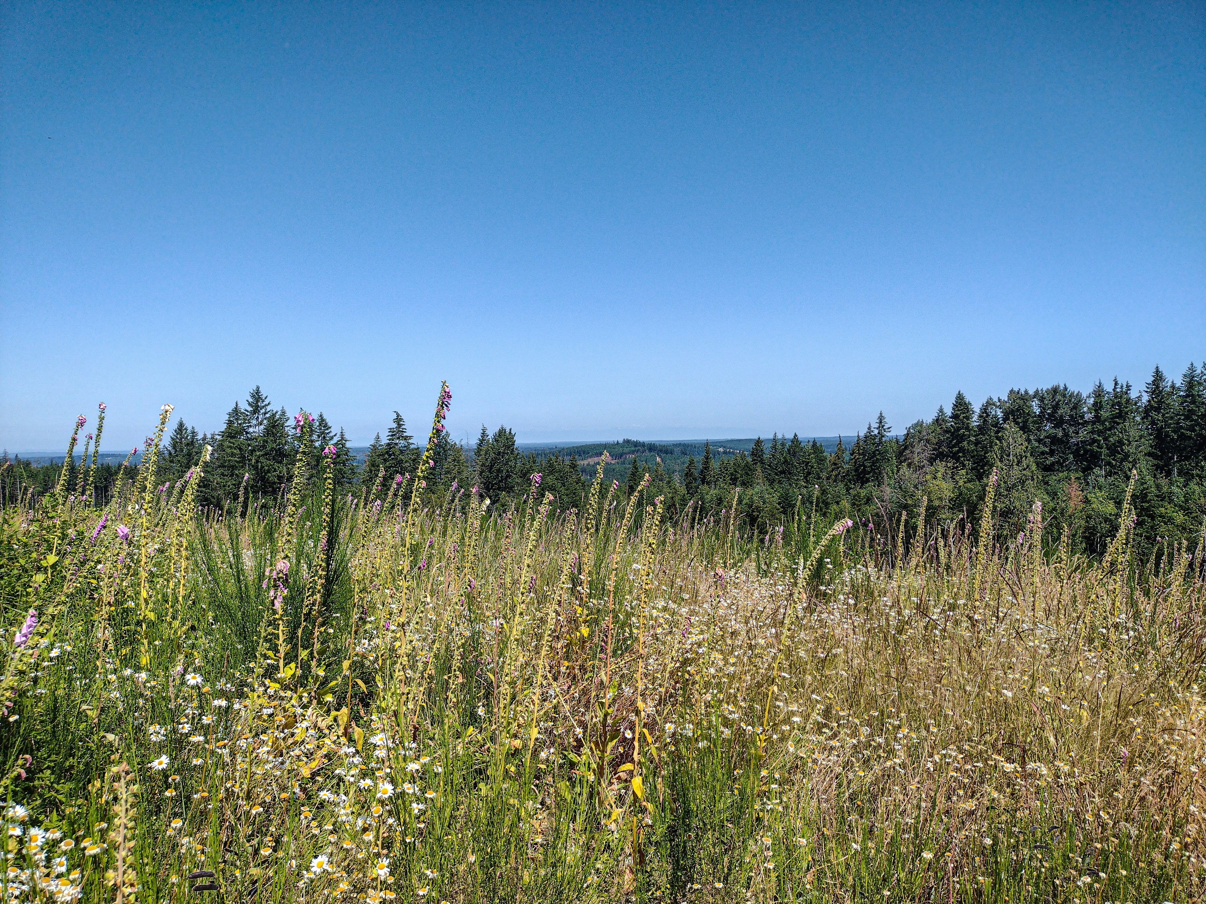 Photo by prphotography262