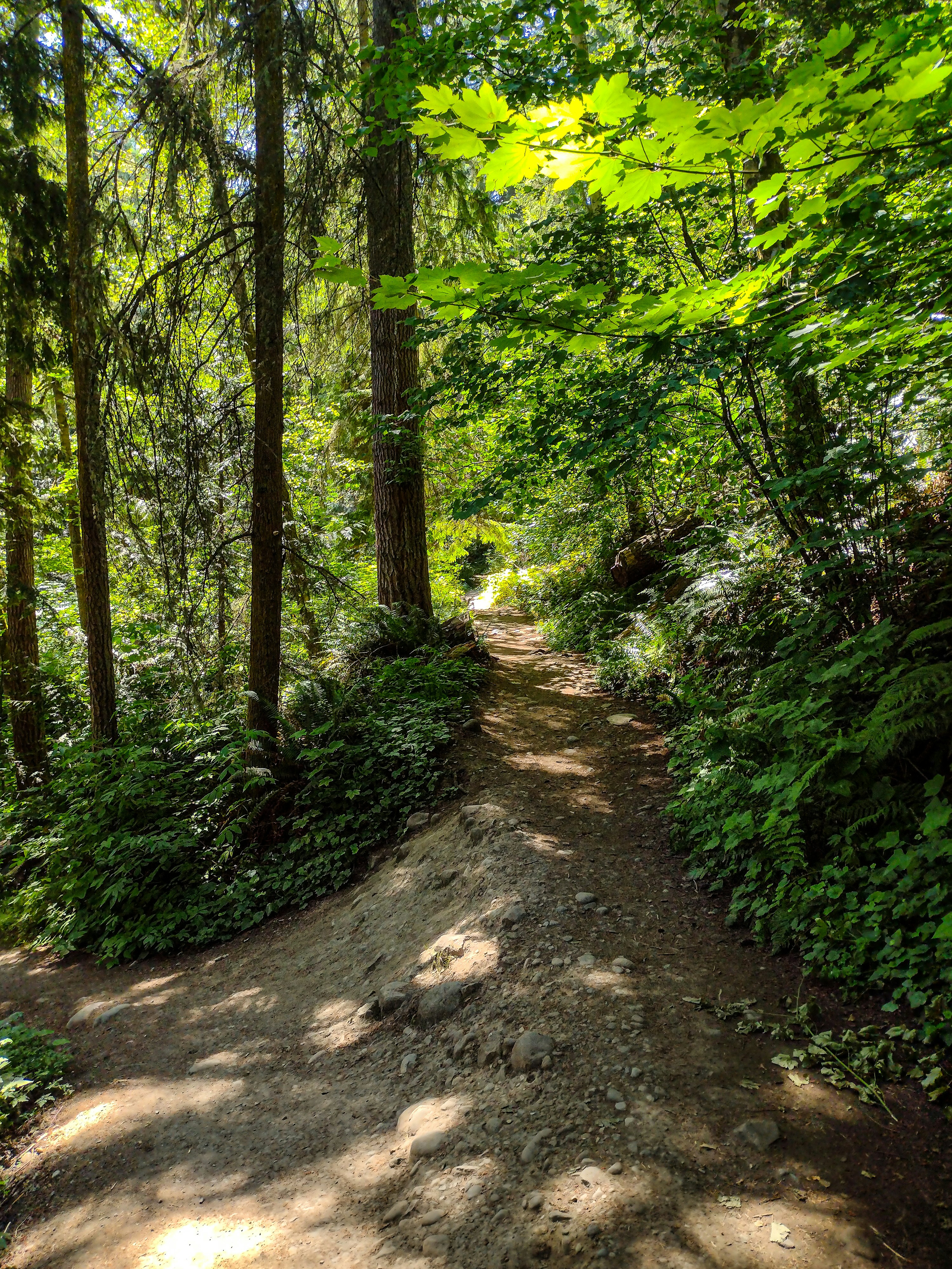 Photo by prphotography262