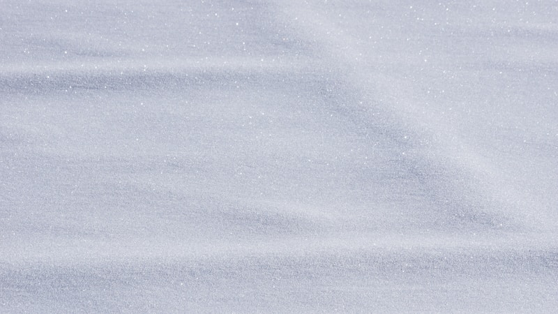 snow covered ground with bird