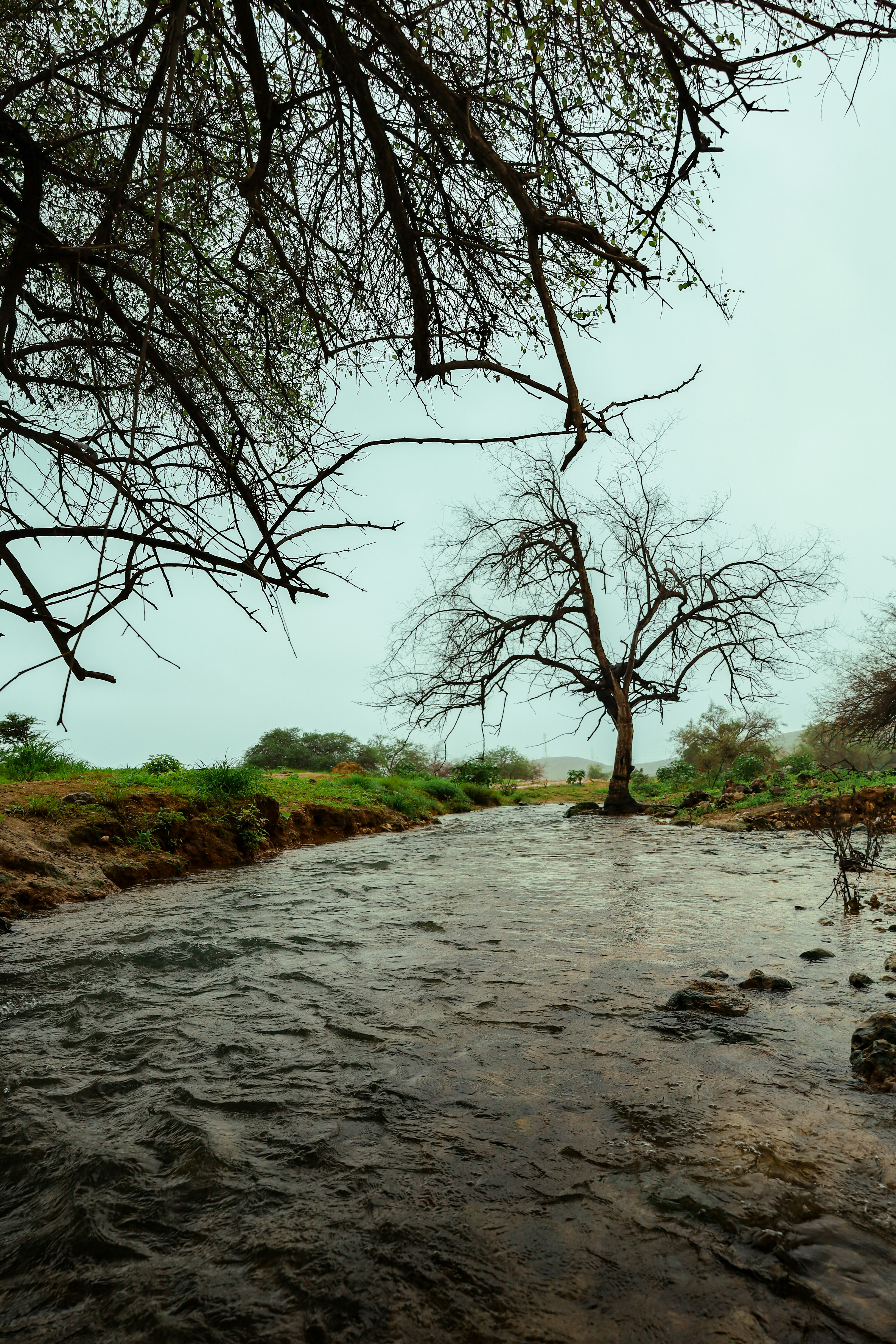 mindfulness wallpaper, wallpaper, Bisnis Insanul Fahmi: Peluang, Strategi, dan Tips Sukses 6