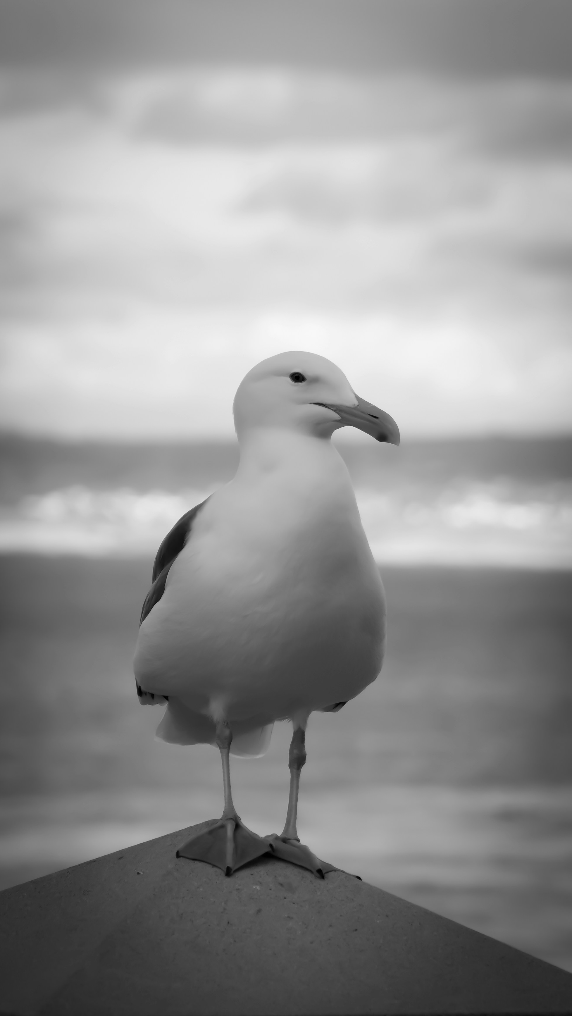 Photo by ghostdogg187