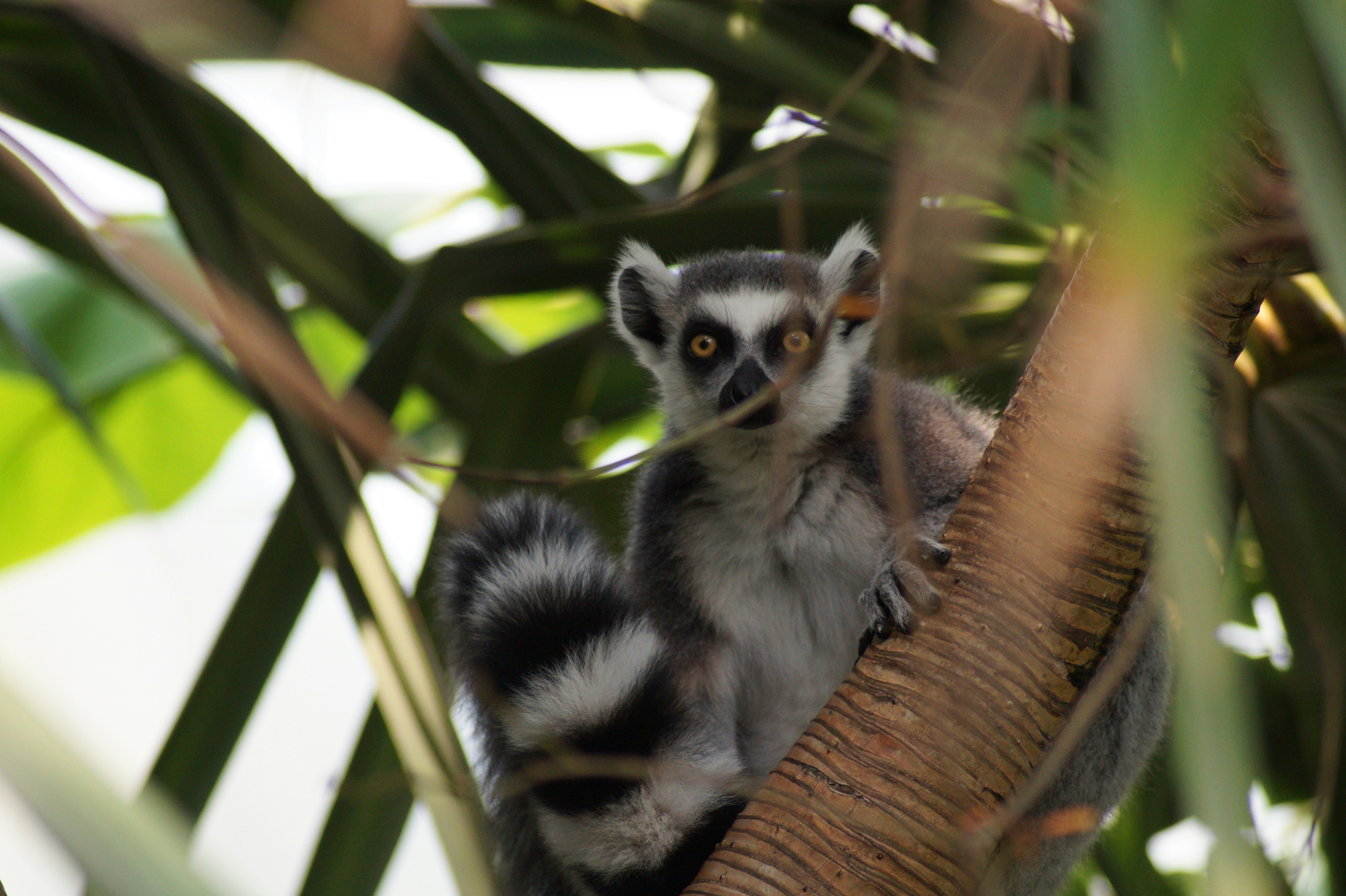 Photo by studionoordhoek