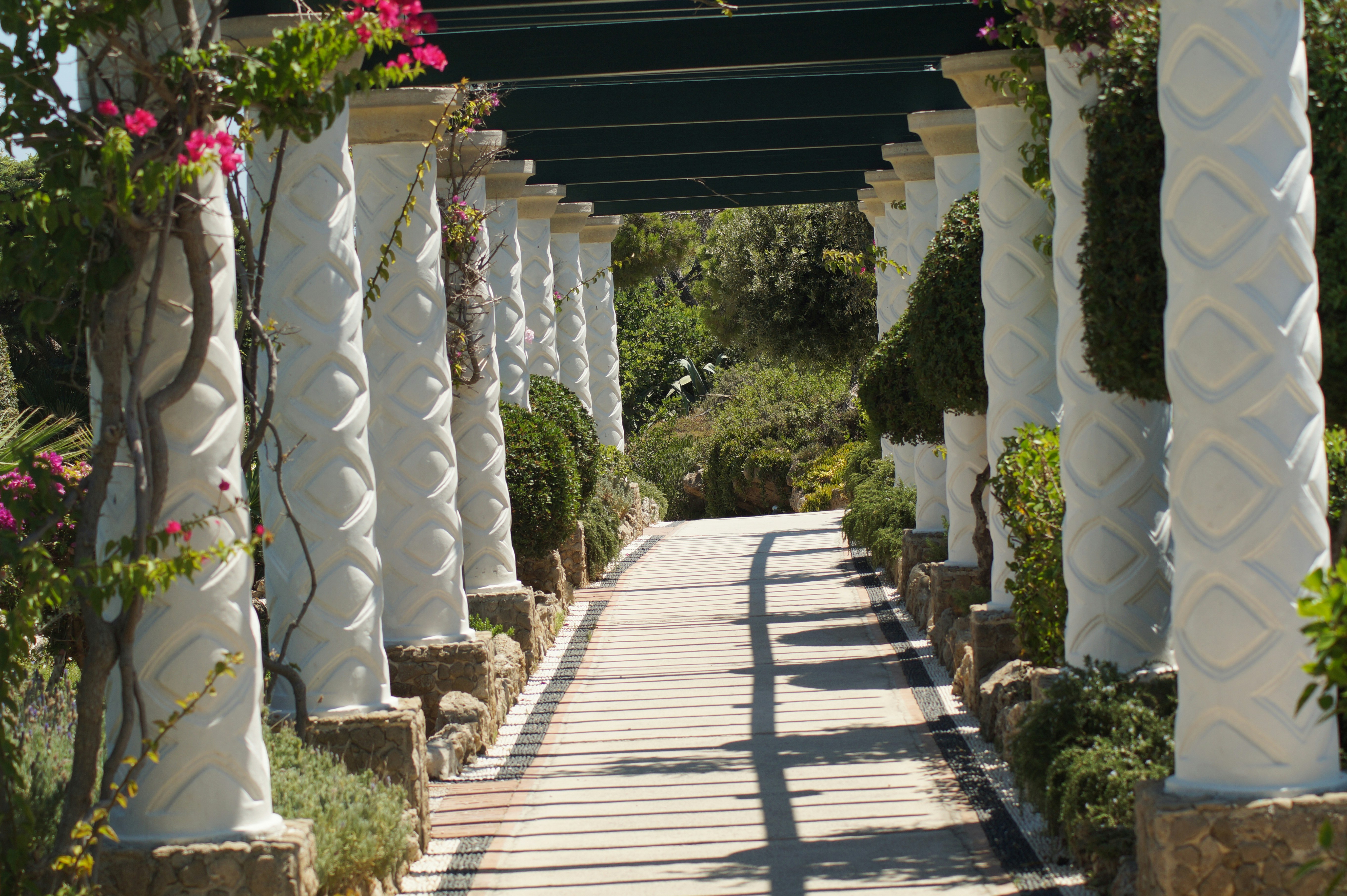 Photo by studionoordhoek