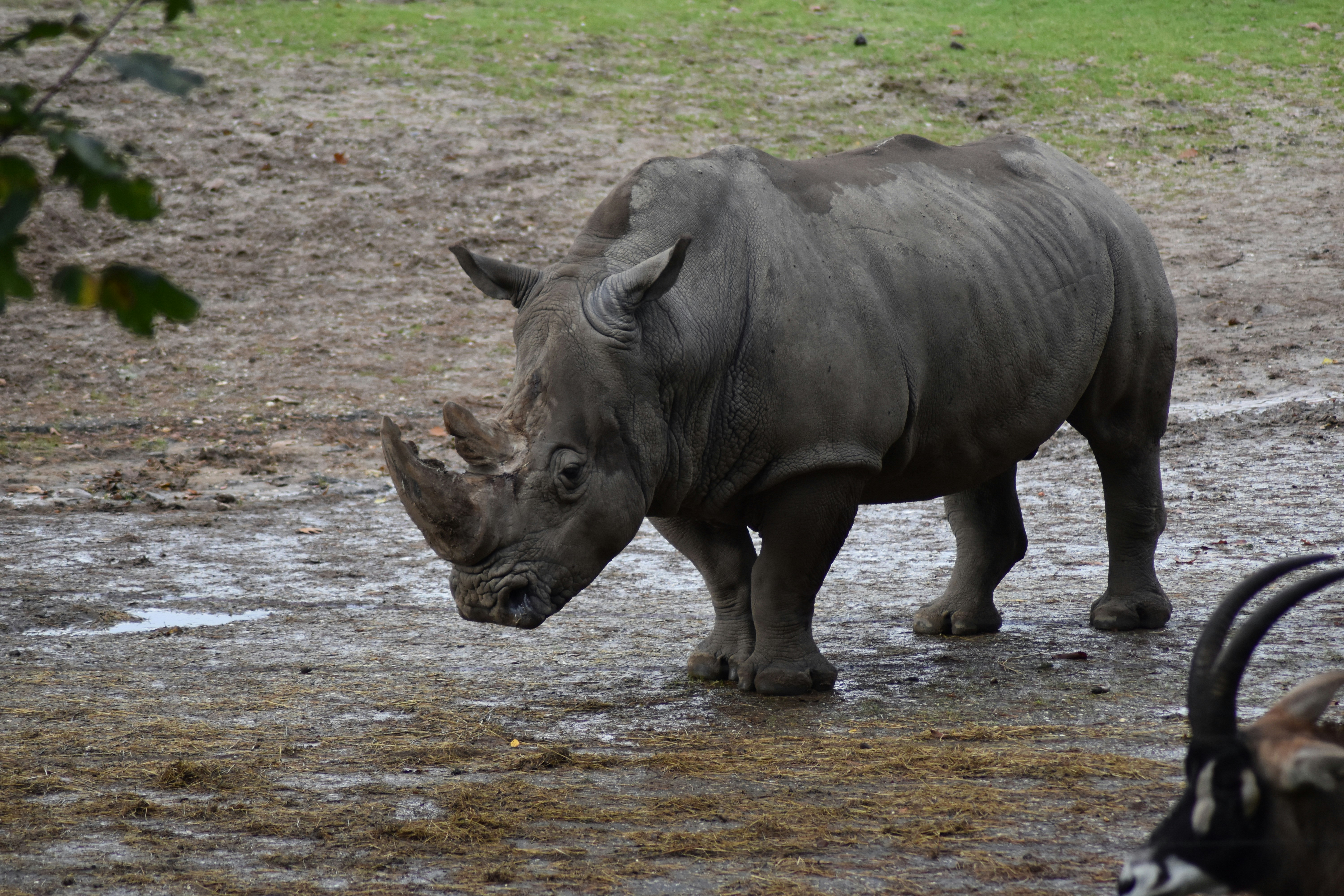 Photo by studionoordhoek