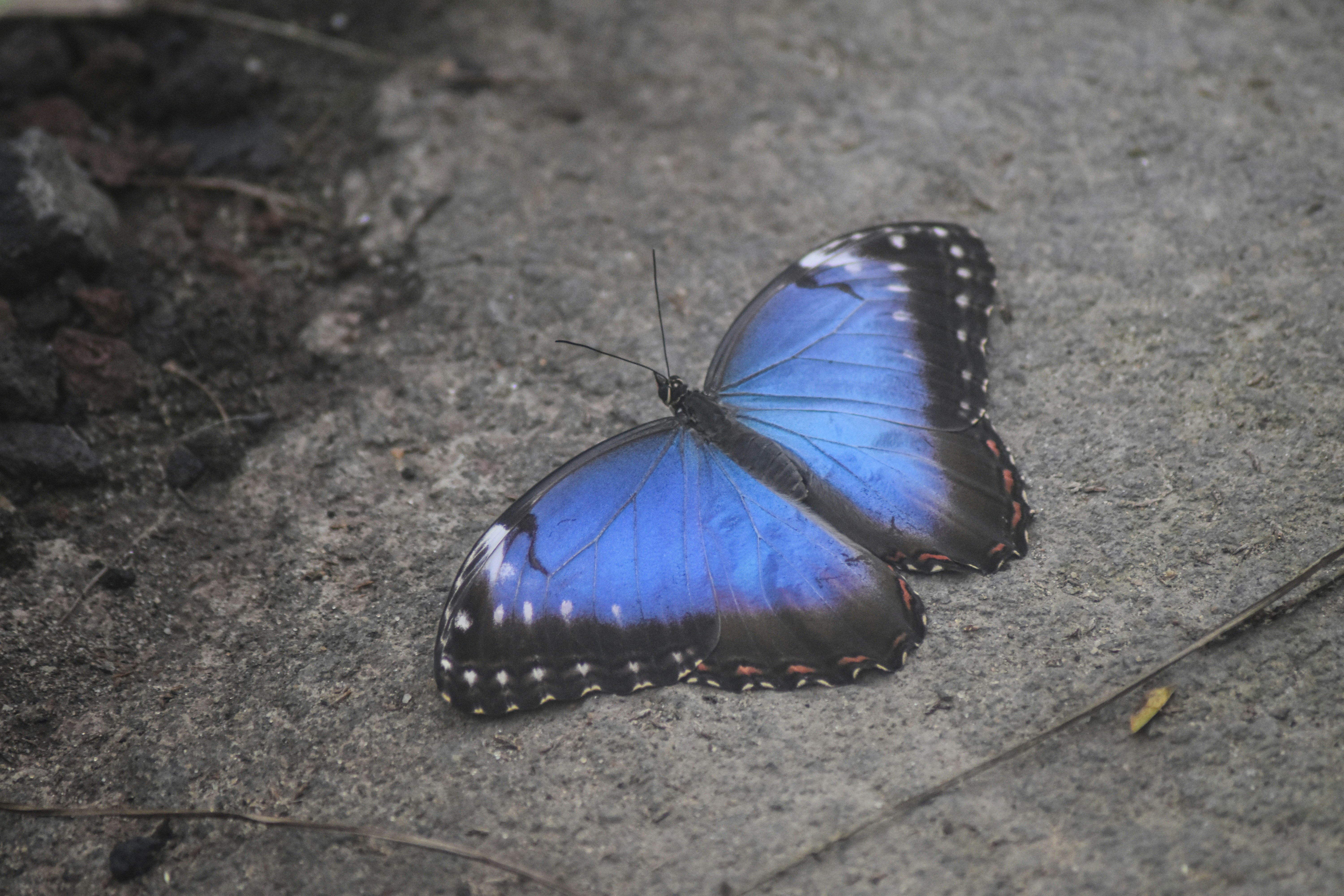 Photo by studionoordhoek