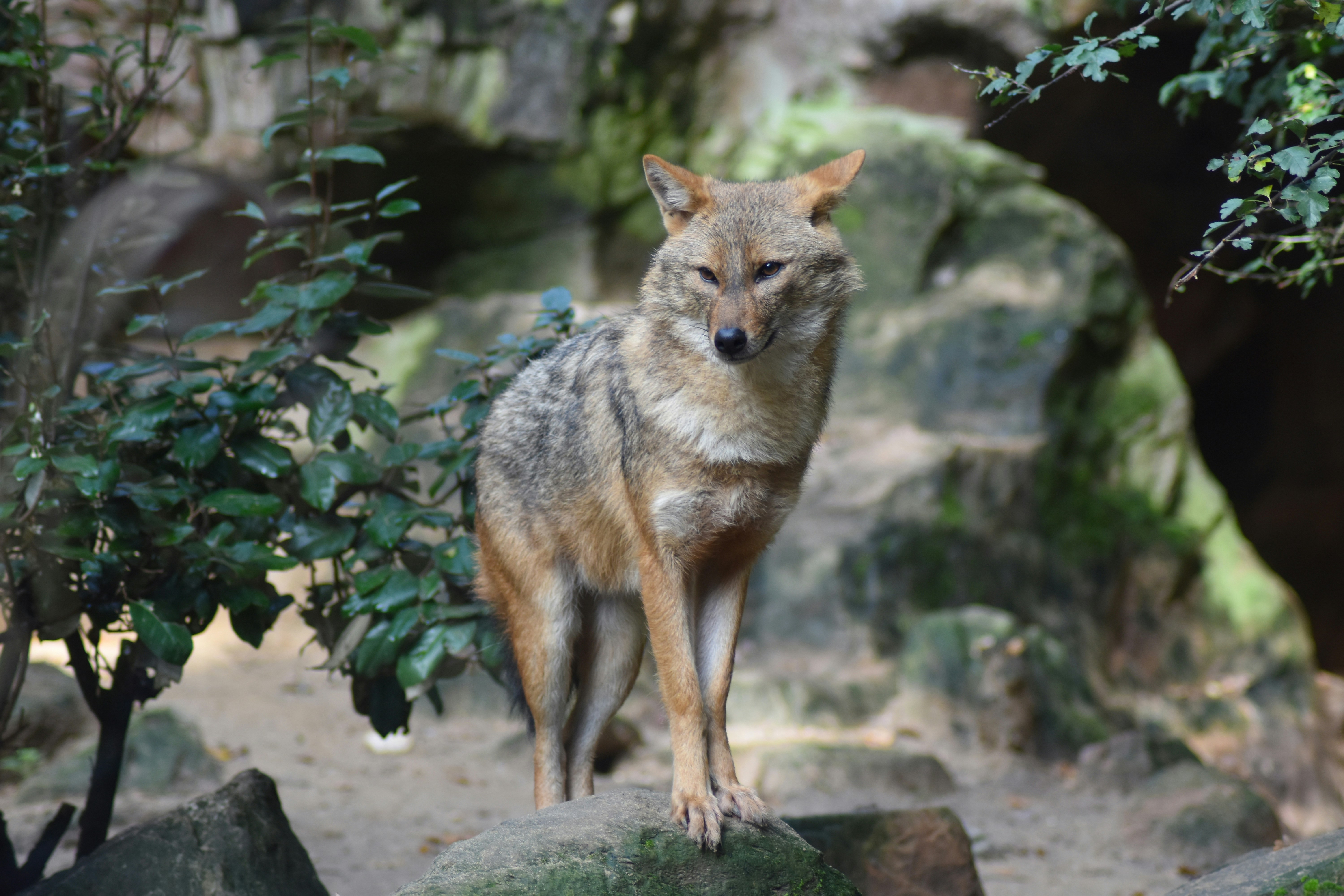 Photo by studionoordhoek