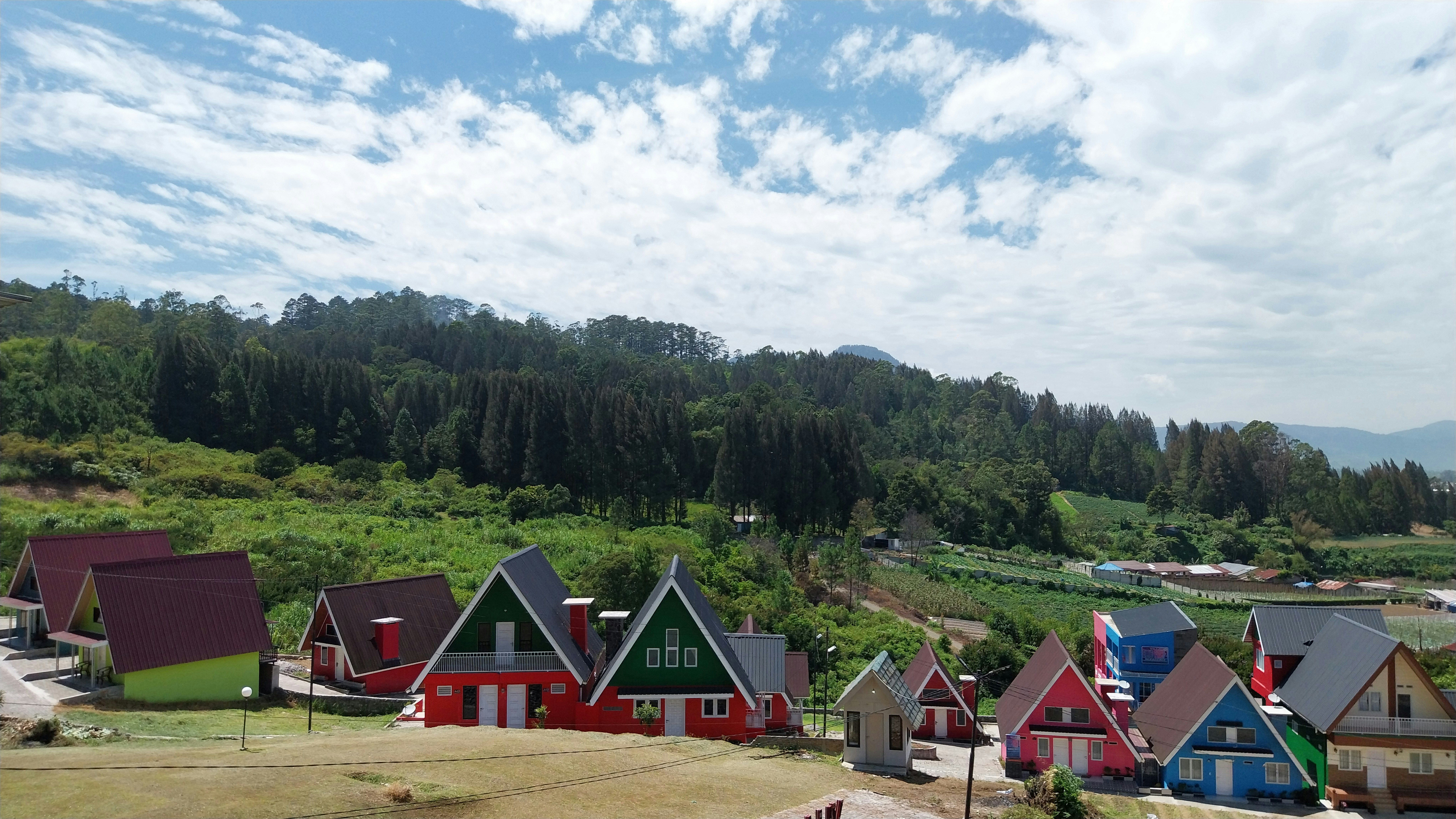 A group of houses sitting on top of a lush green hillside