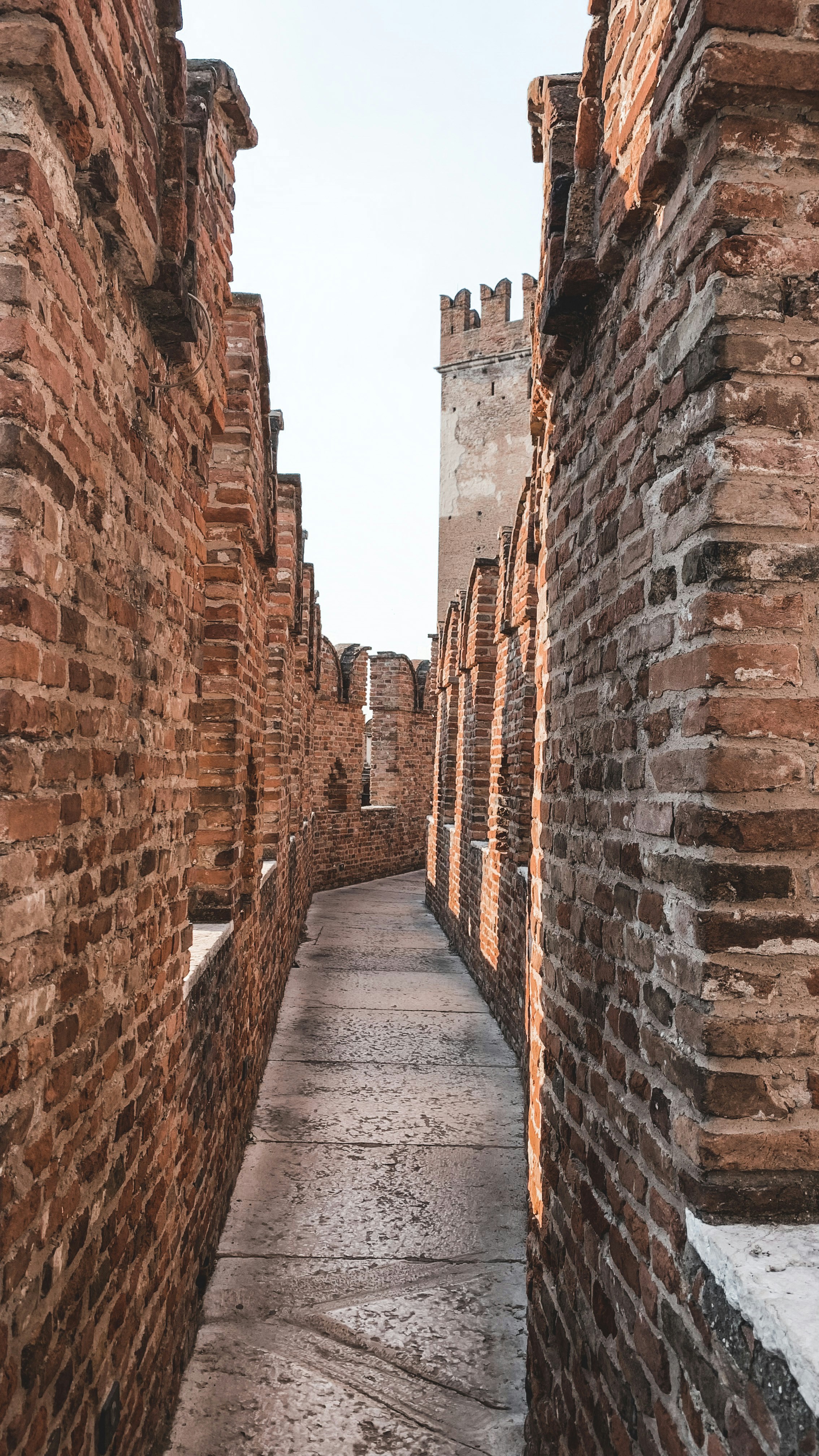 Photo by jzaostmtienl