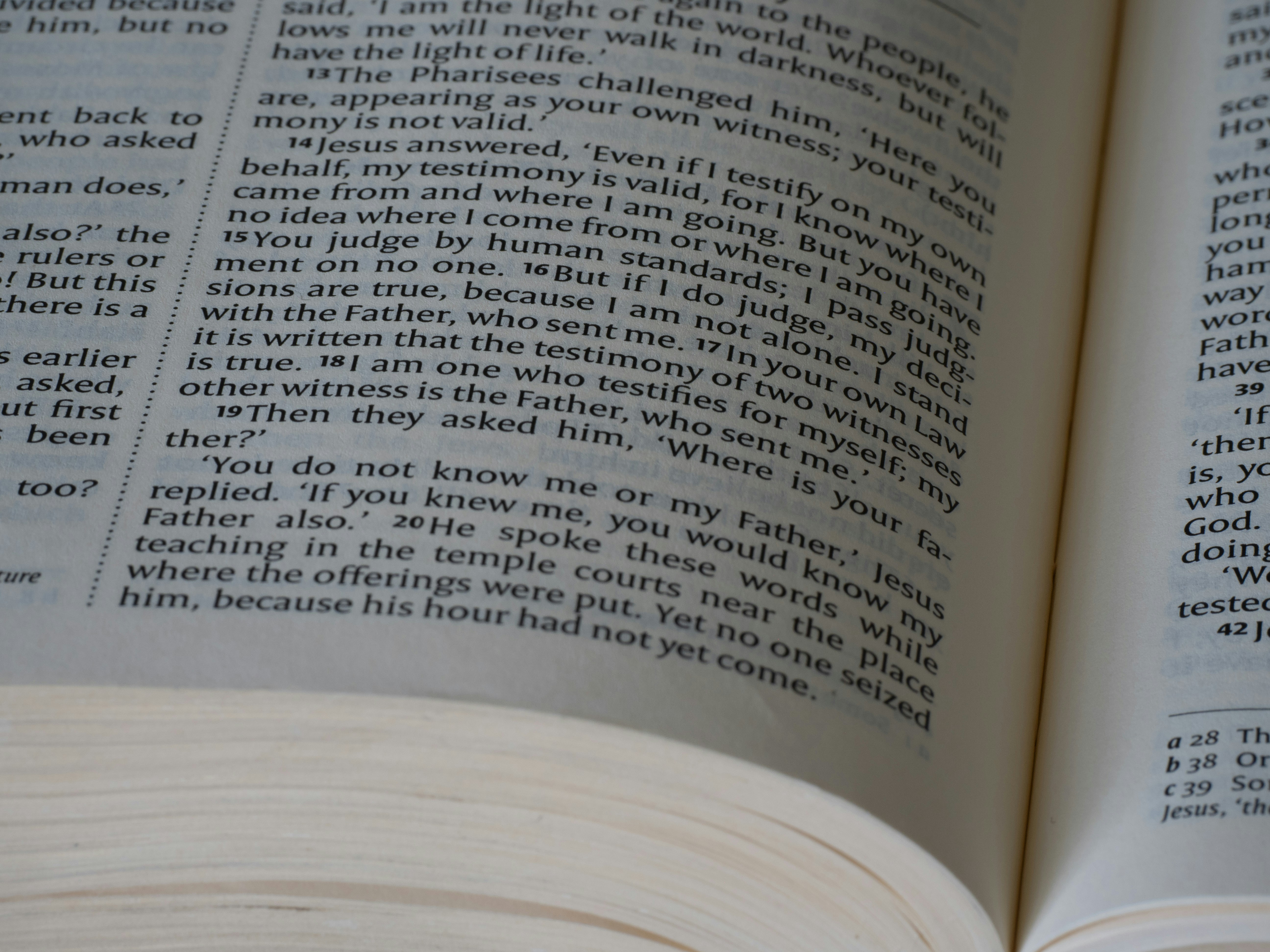 Photo by brett_jordan