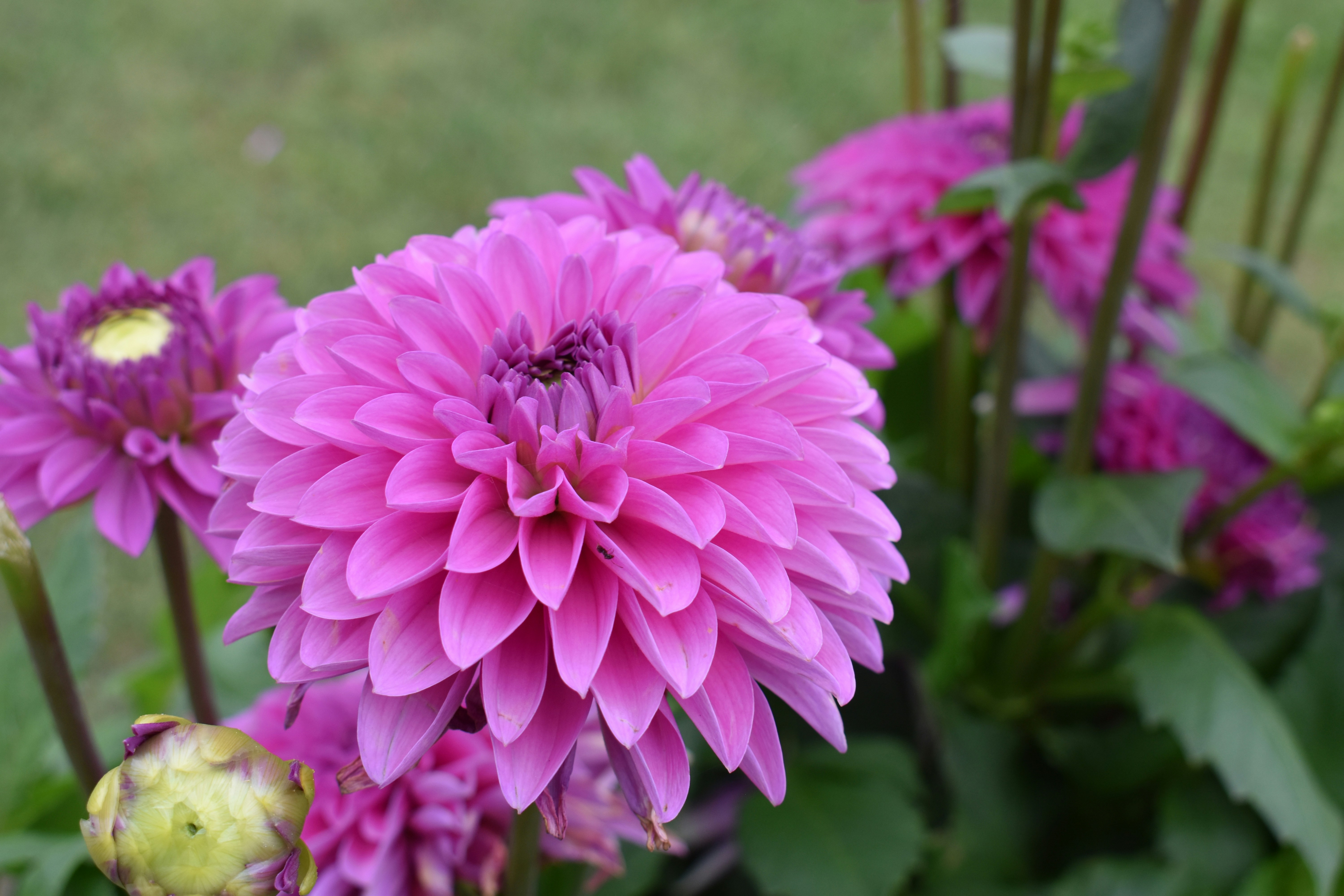 Photo by studionoordhoek