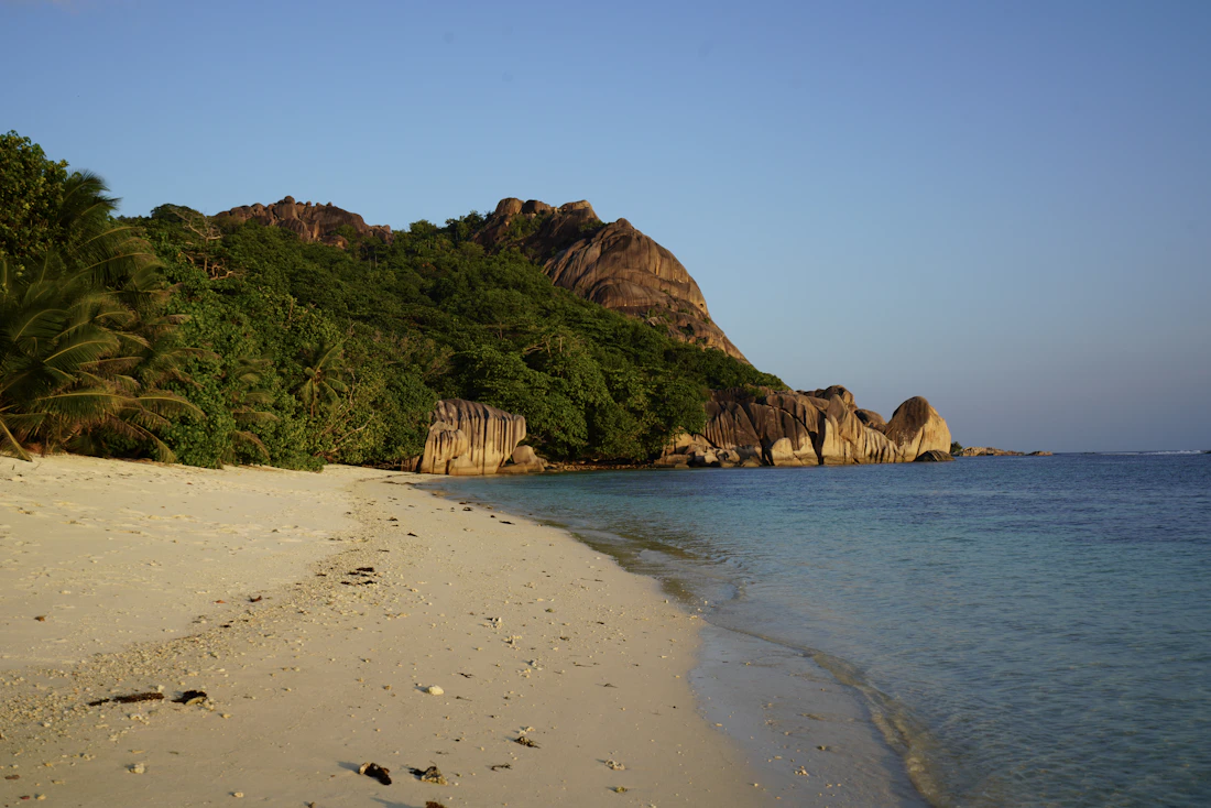 Morne Seychellois