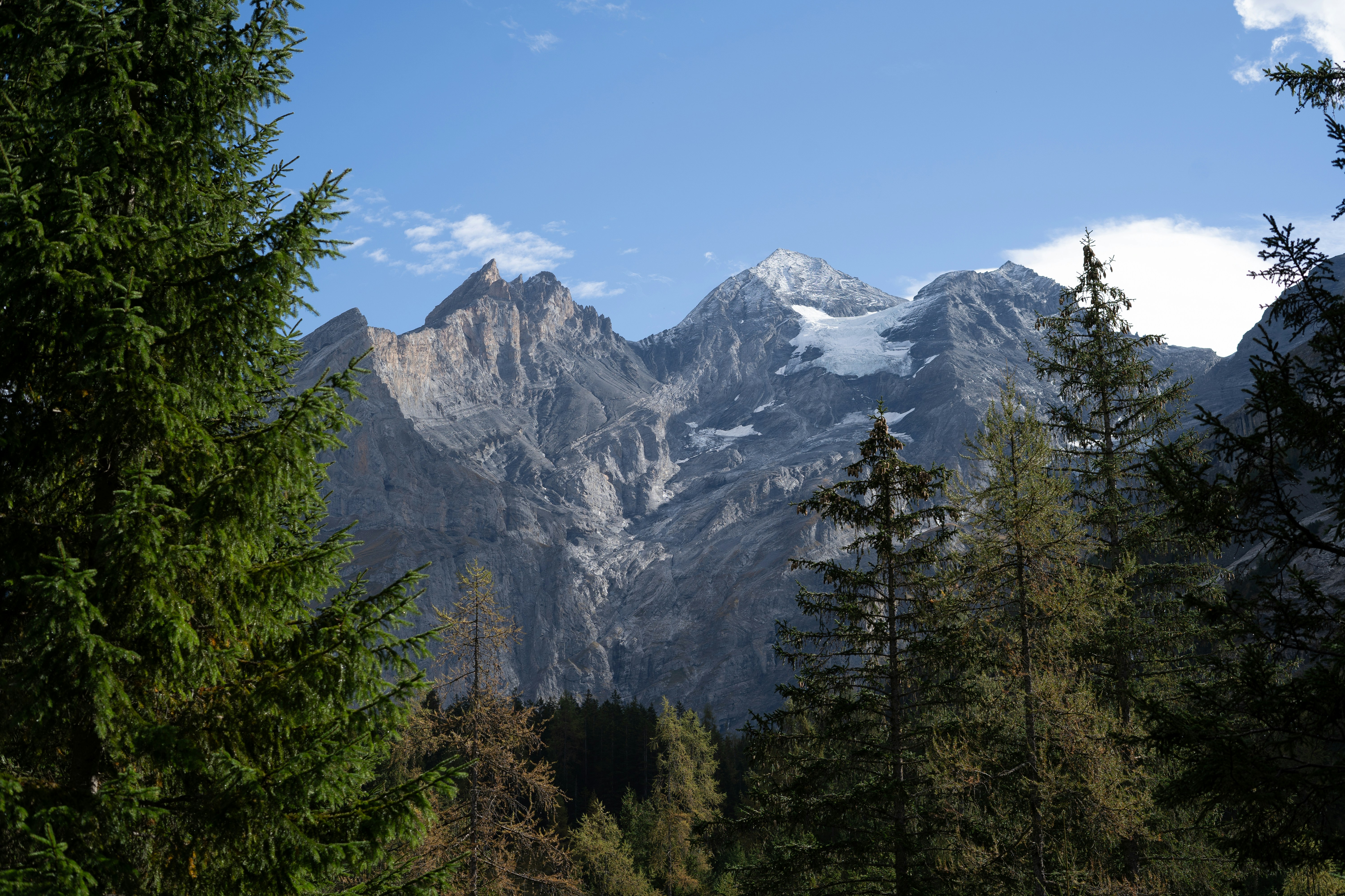 A view of a mountain range from a wooded area