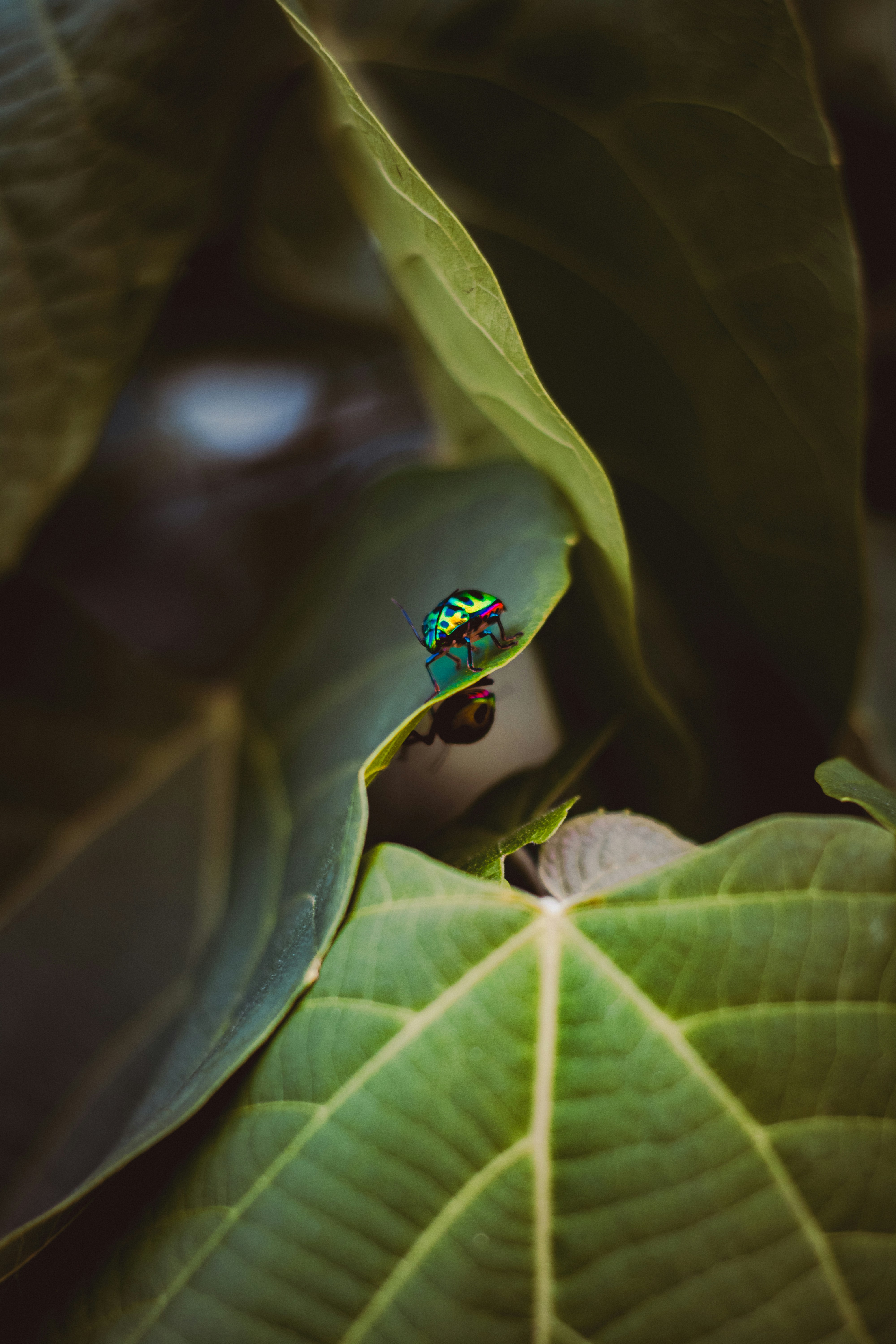 Photo by tanvirahmed2232