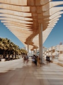 A group of people walking down a sidewalk next to palm trees