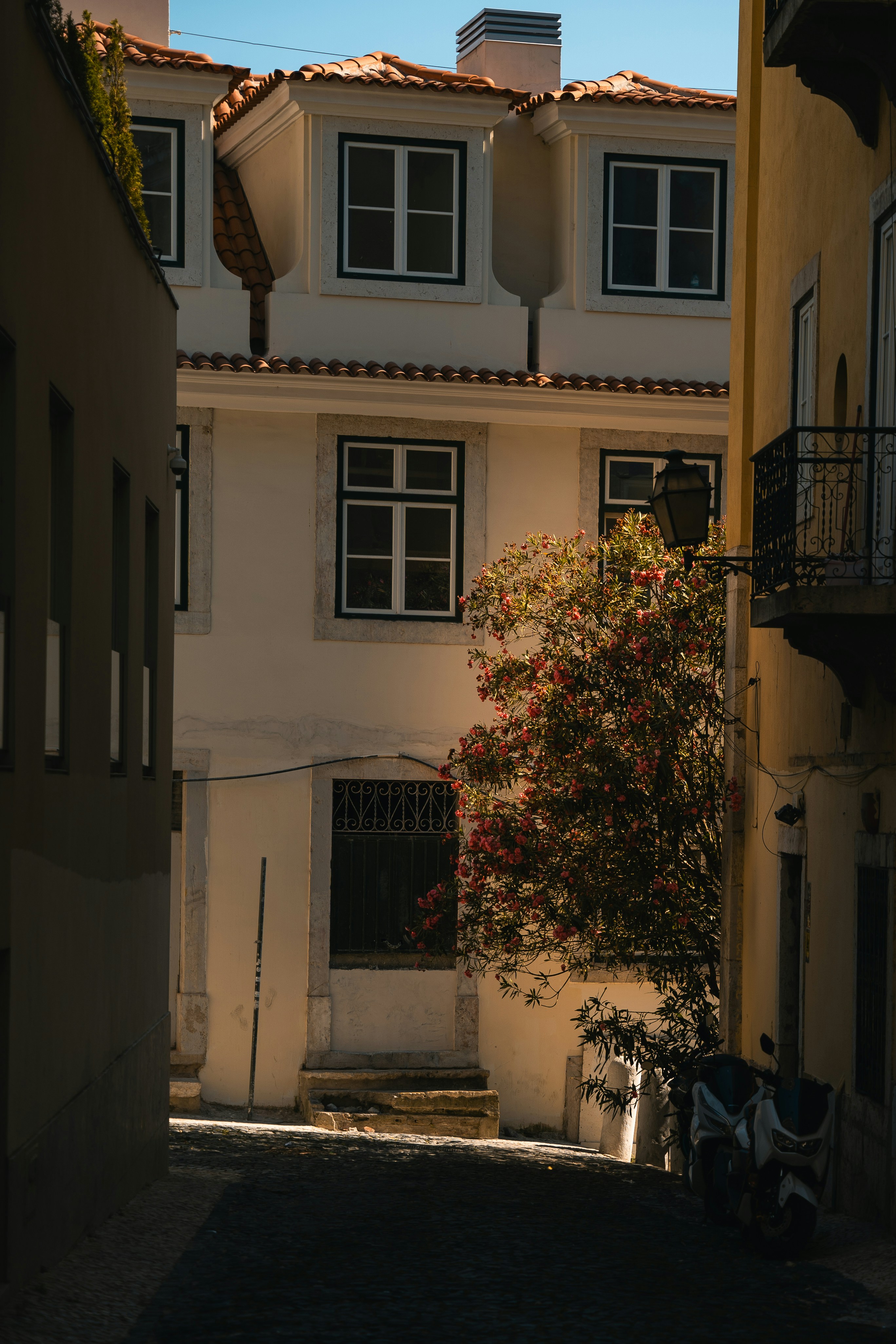 Photo by jannyffenegger