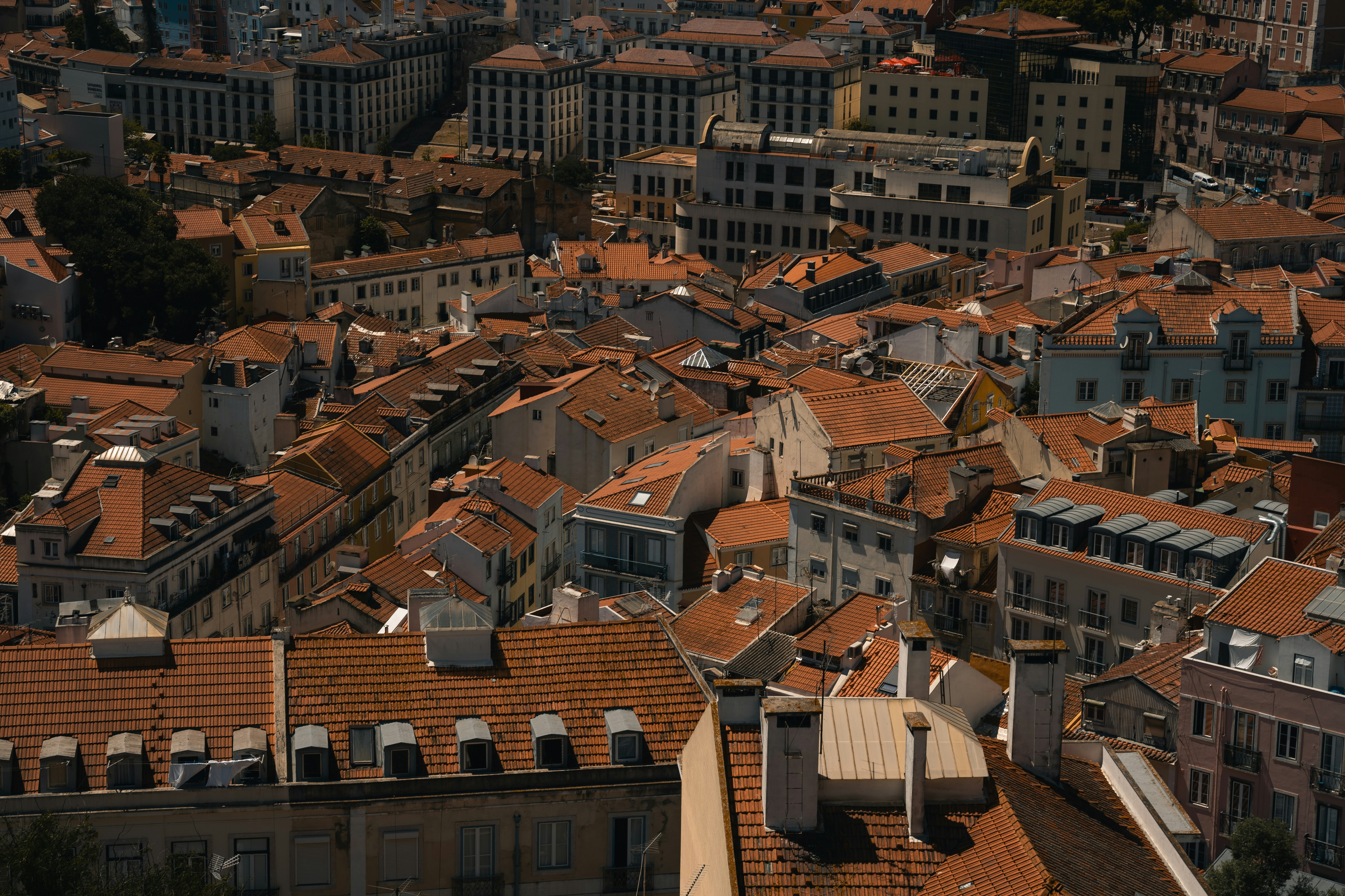 Photo by jannyffenegger