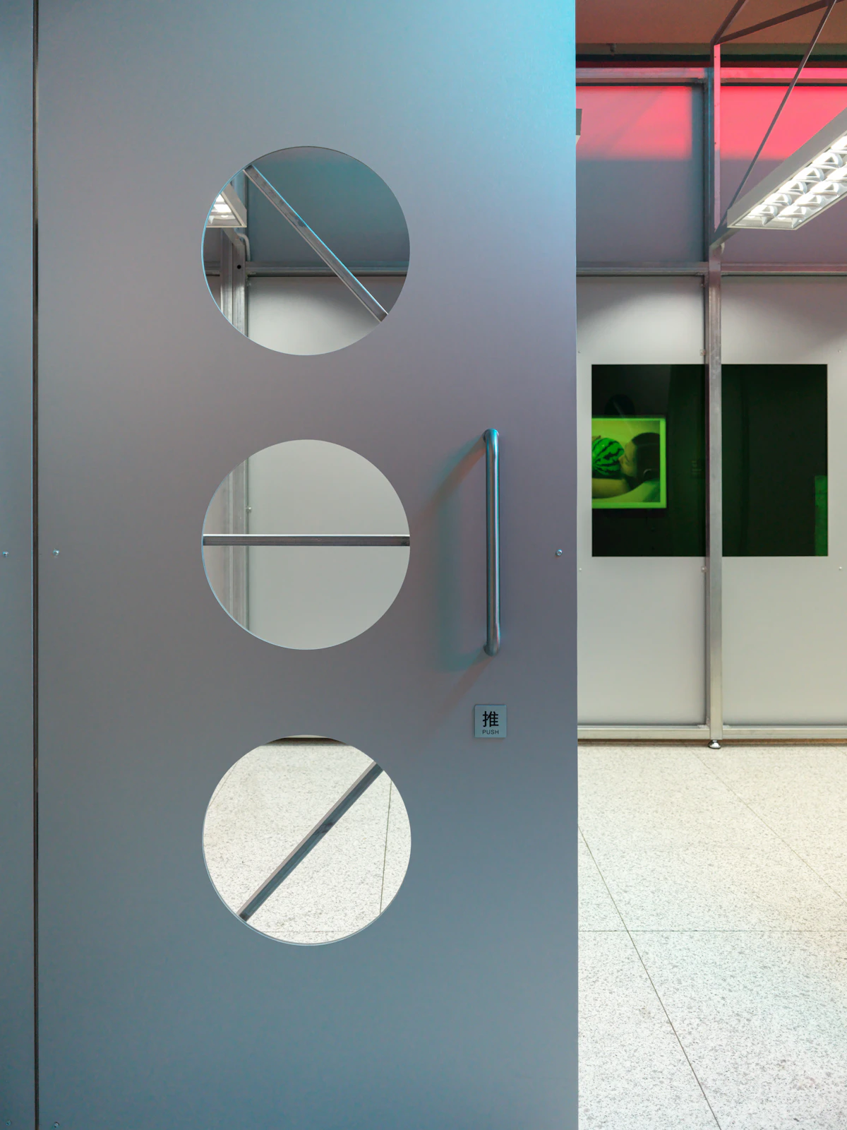 Frosted Glass Pivot Door