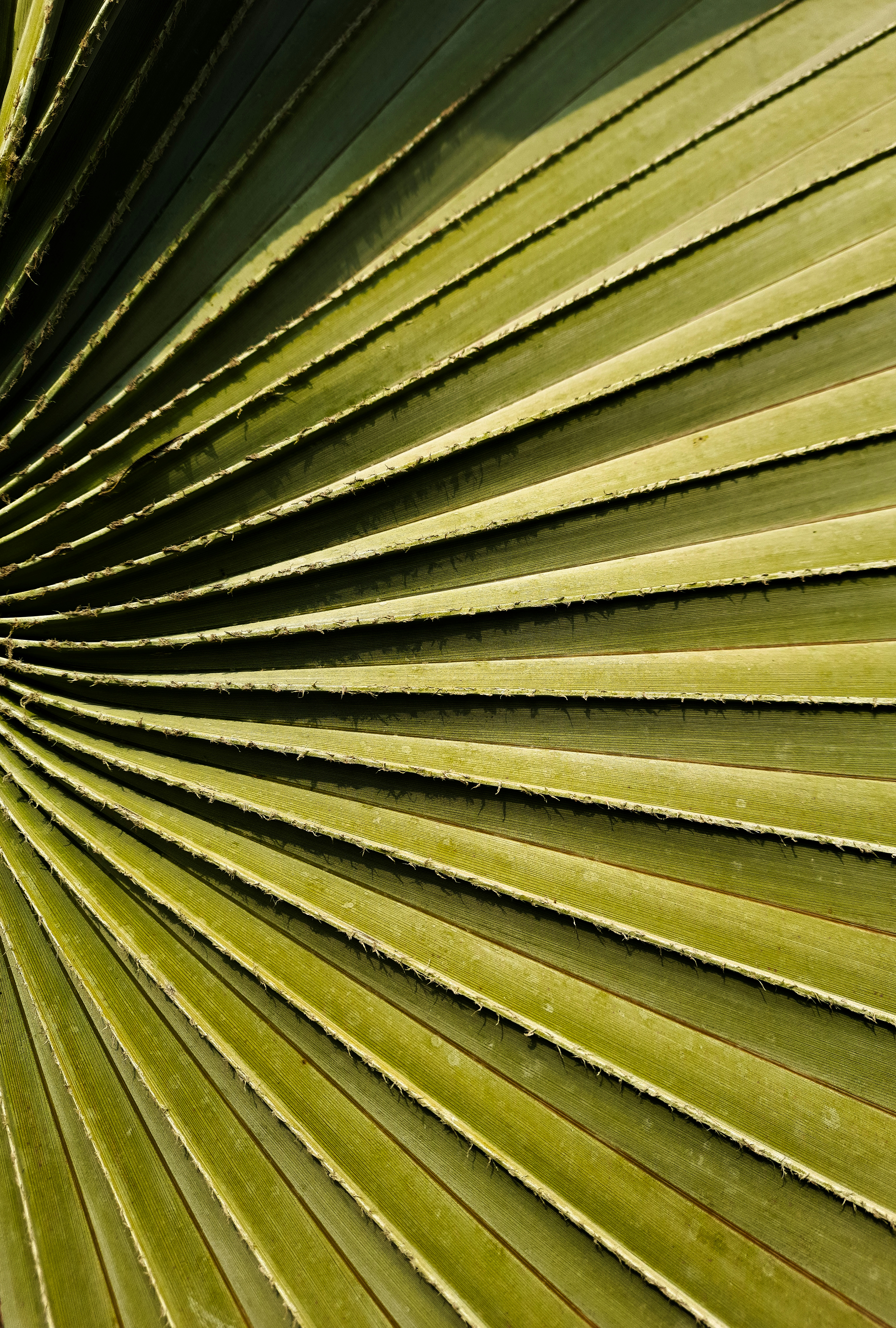 Photo by pranavtyagi