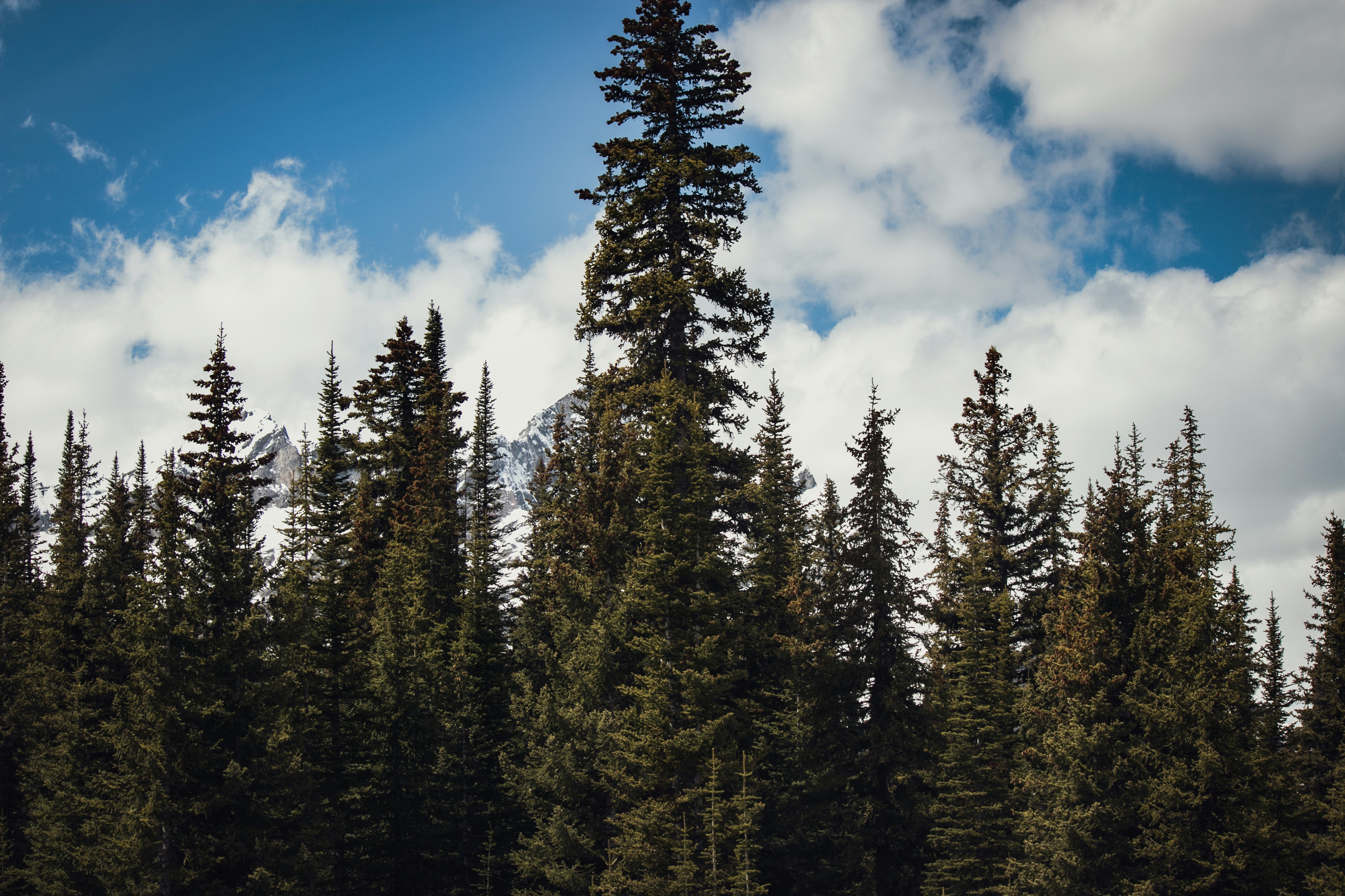 Photo by wlkr_photography