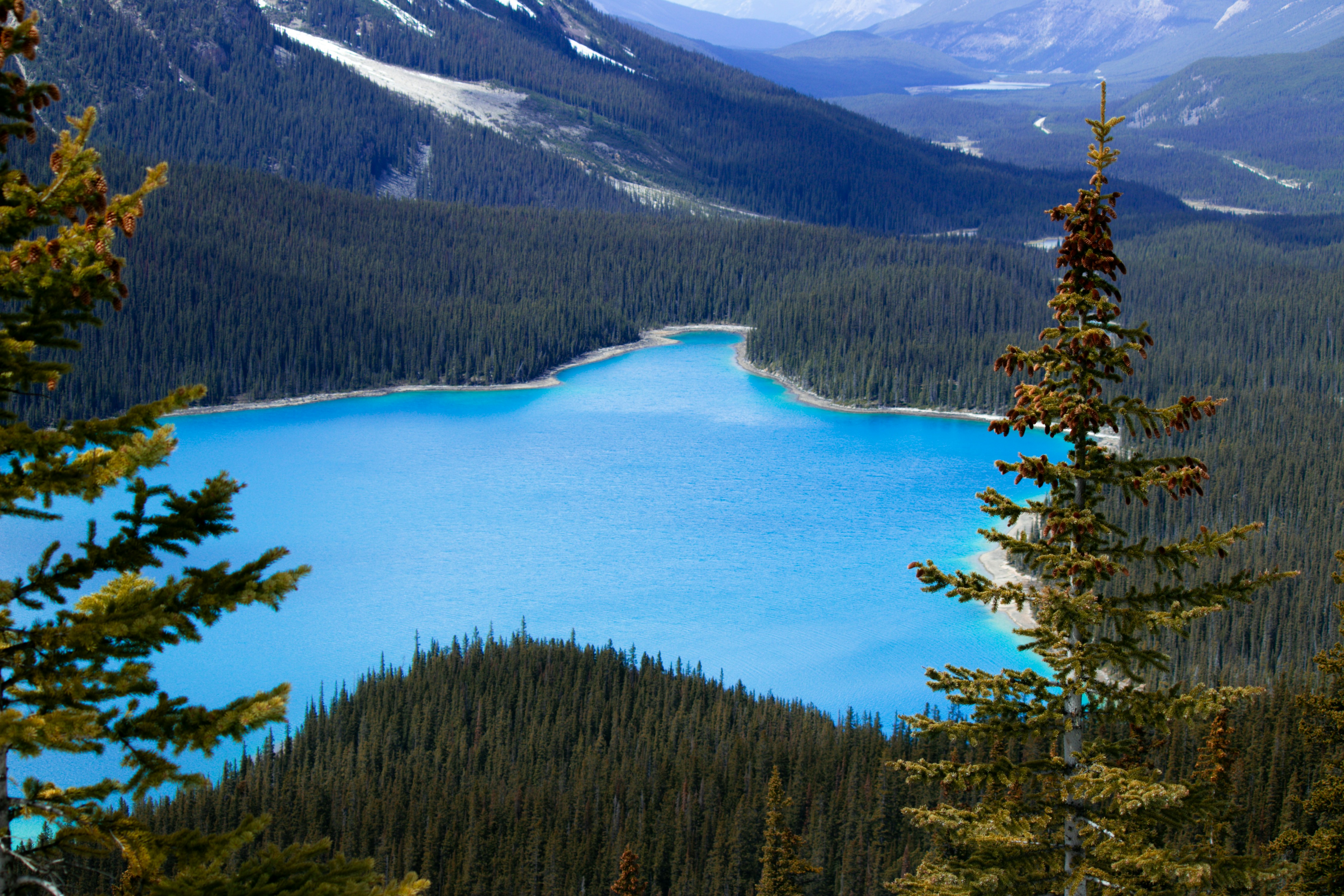 Photo by wlkr_photography