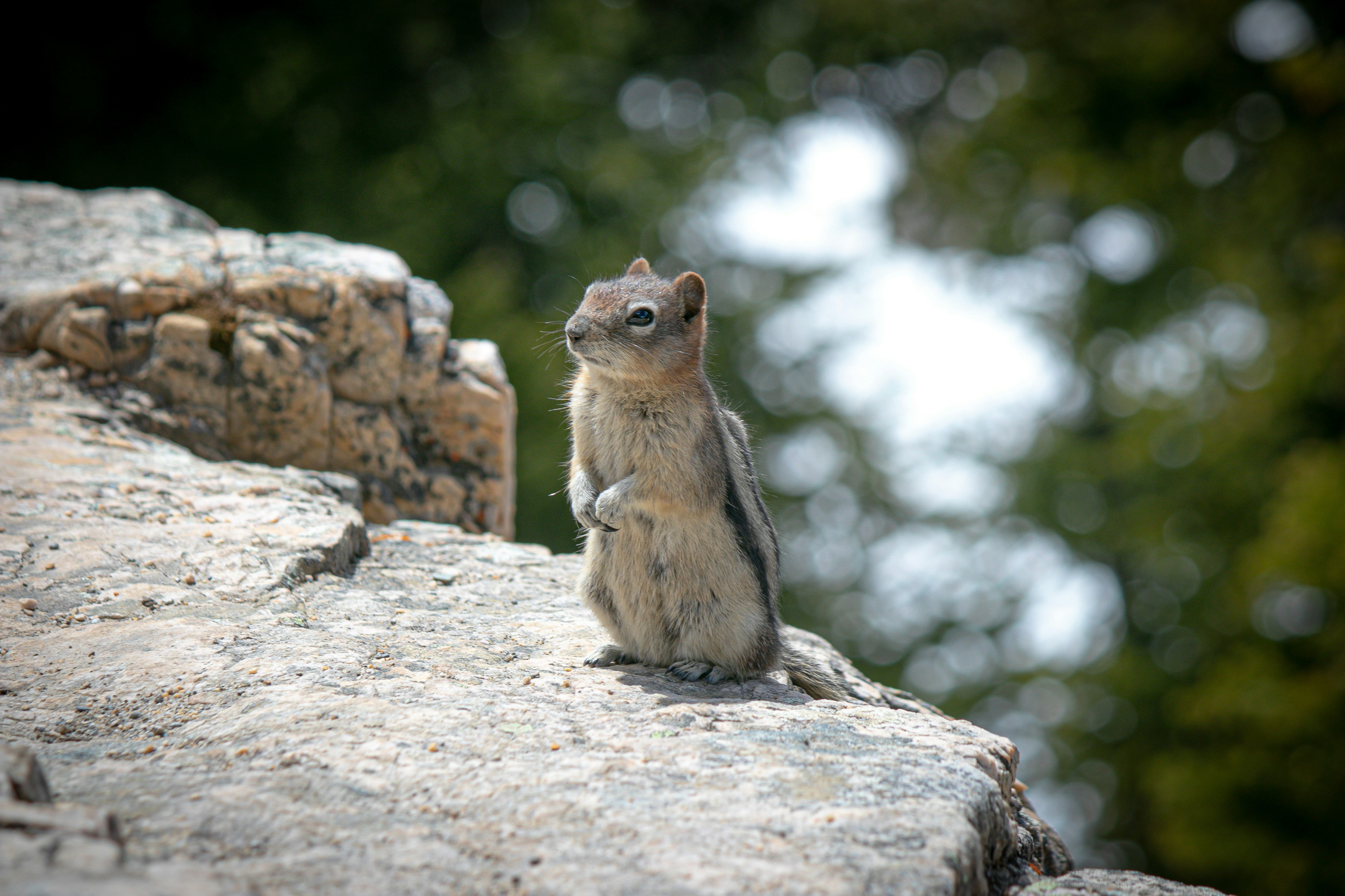 Photo by wlkr_photography