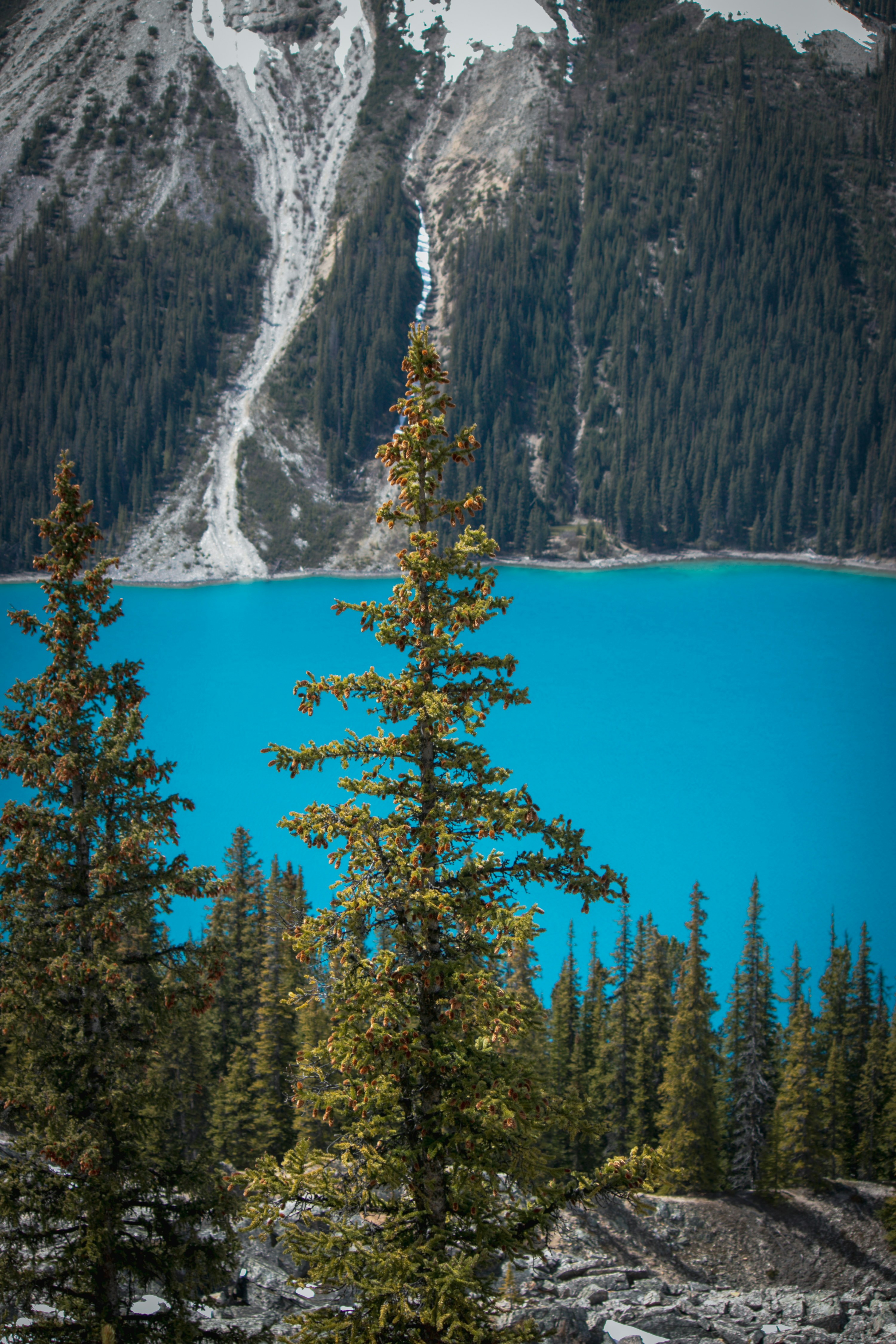 Photo by wlkr_photography