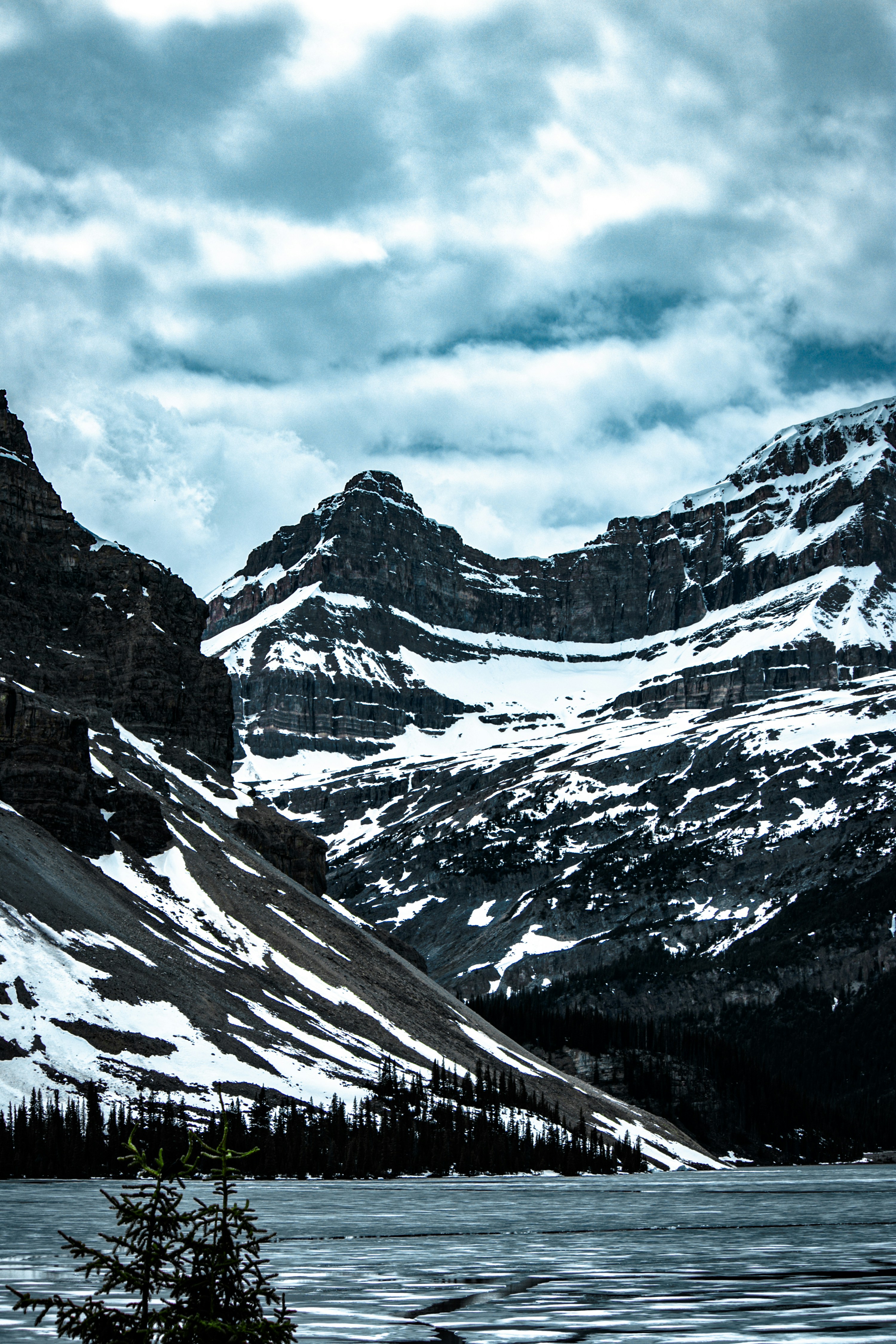 Photo by wlkr_photography