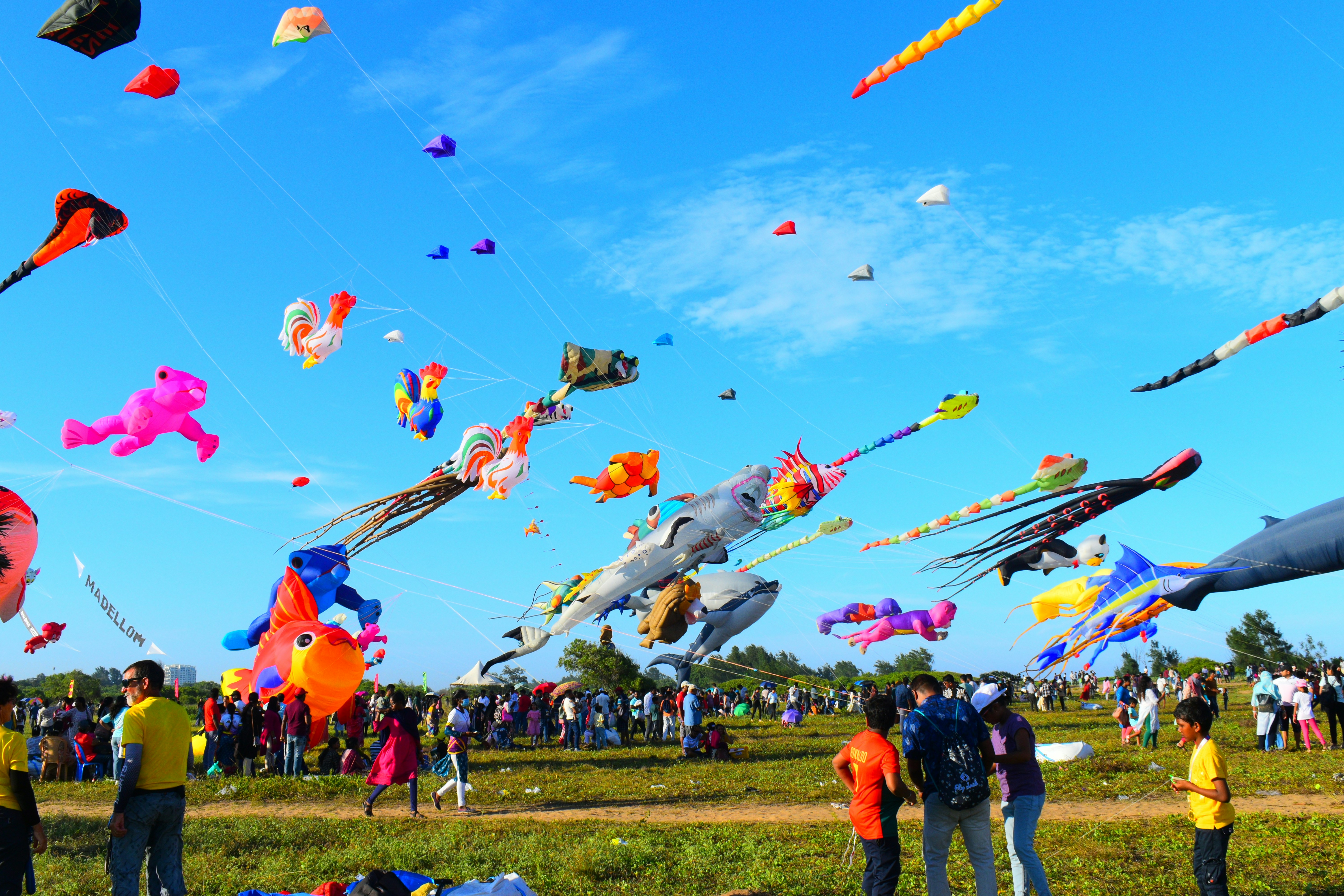 Image credit: Kamakshi subramani via unsplash

Image of International Kite Festival in Ahmedabad