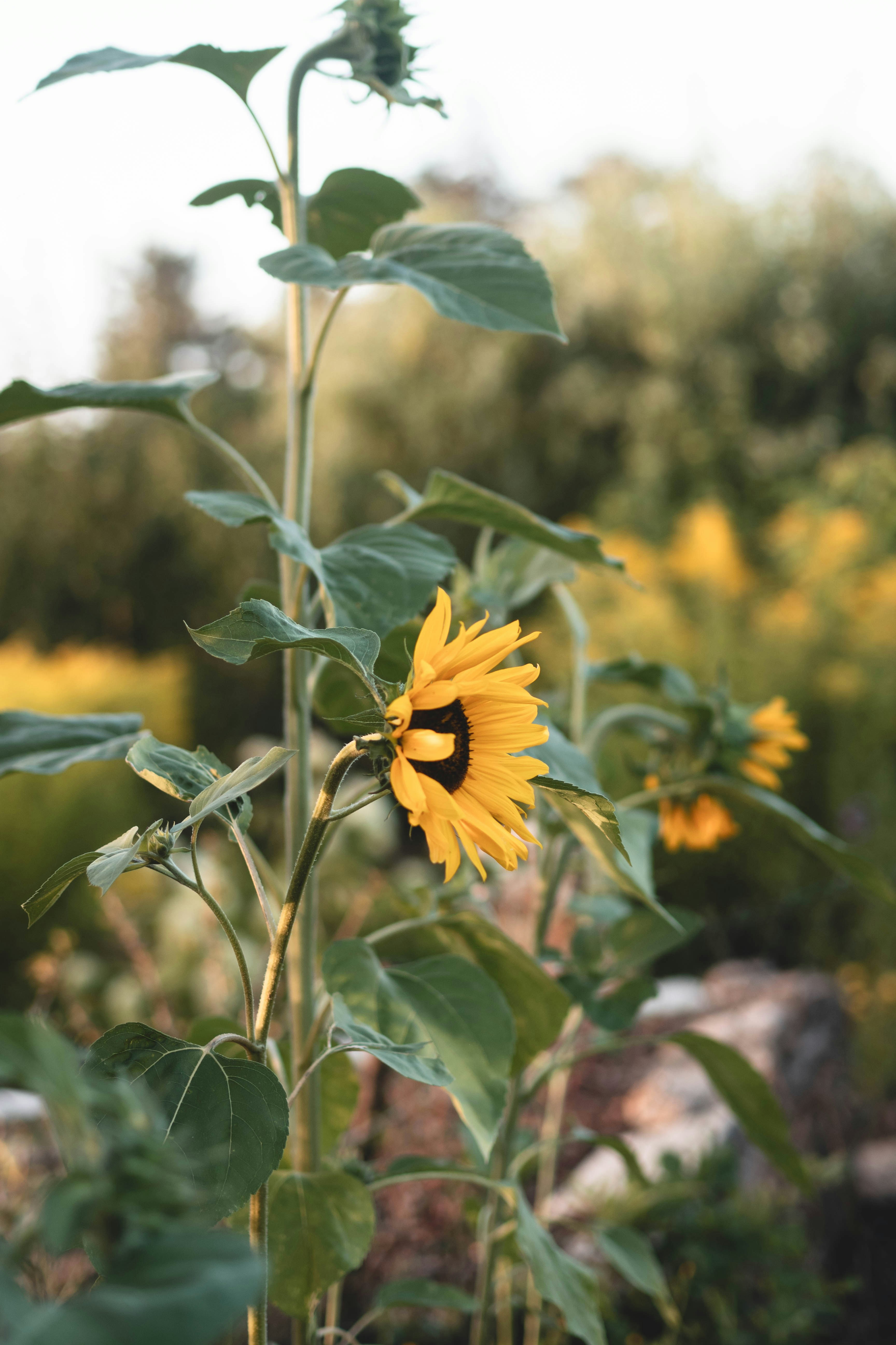 Photo by eileen_kummer