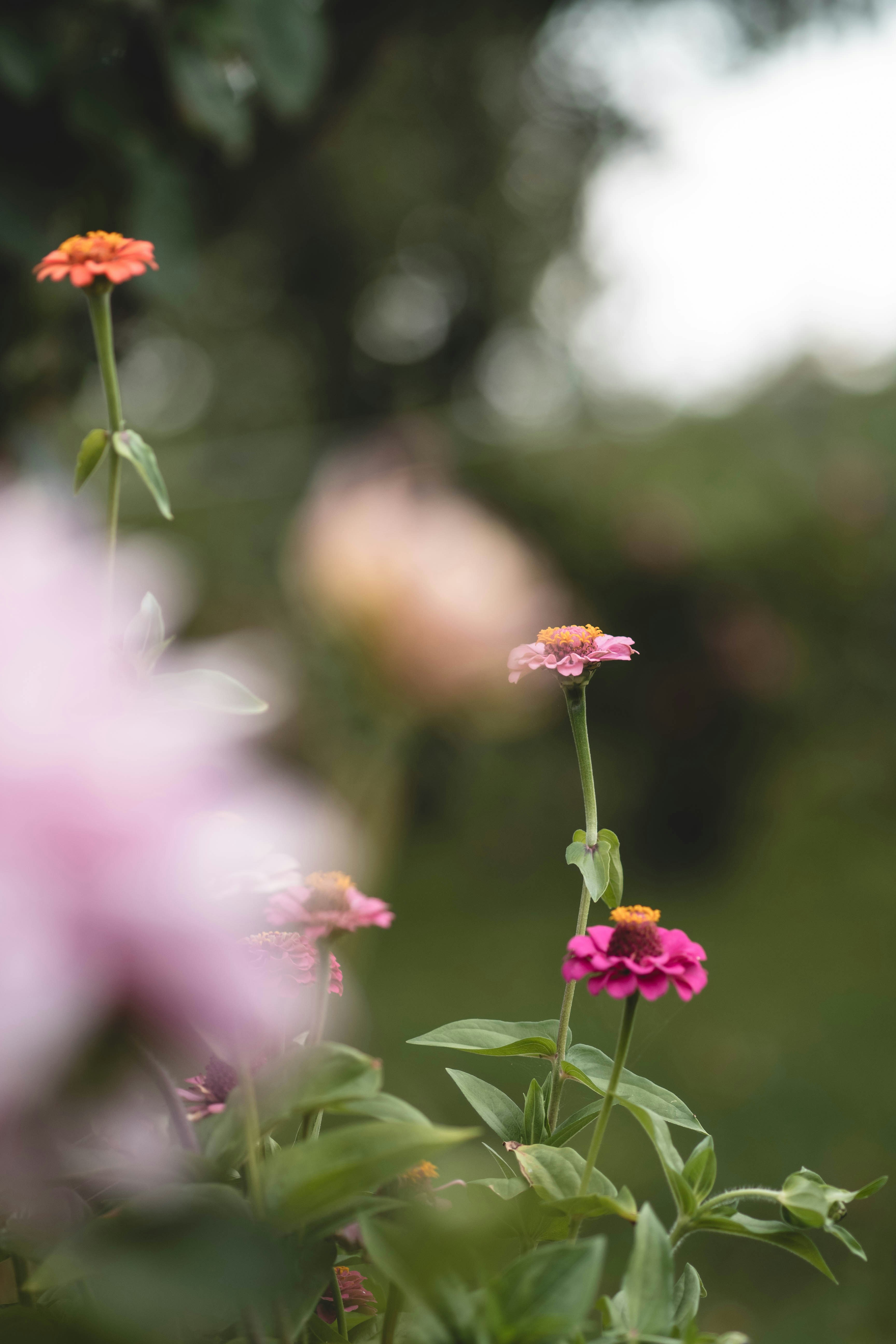 Photo by eileen_kummer