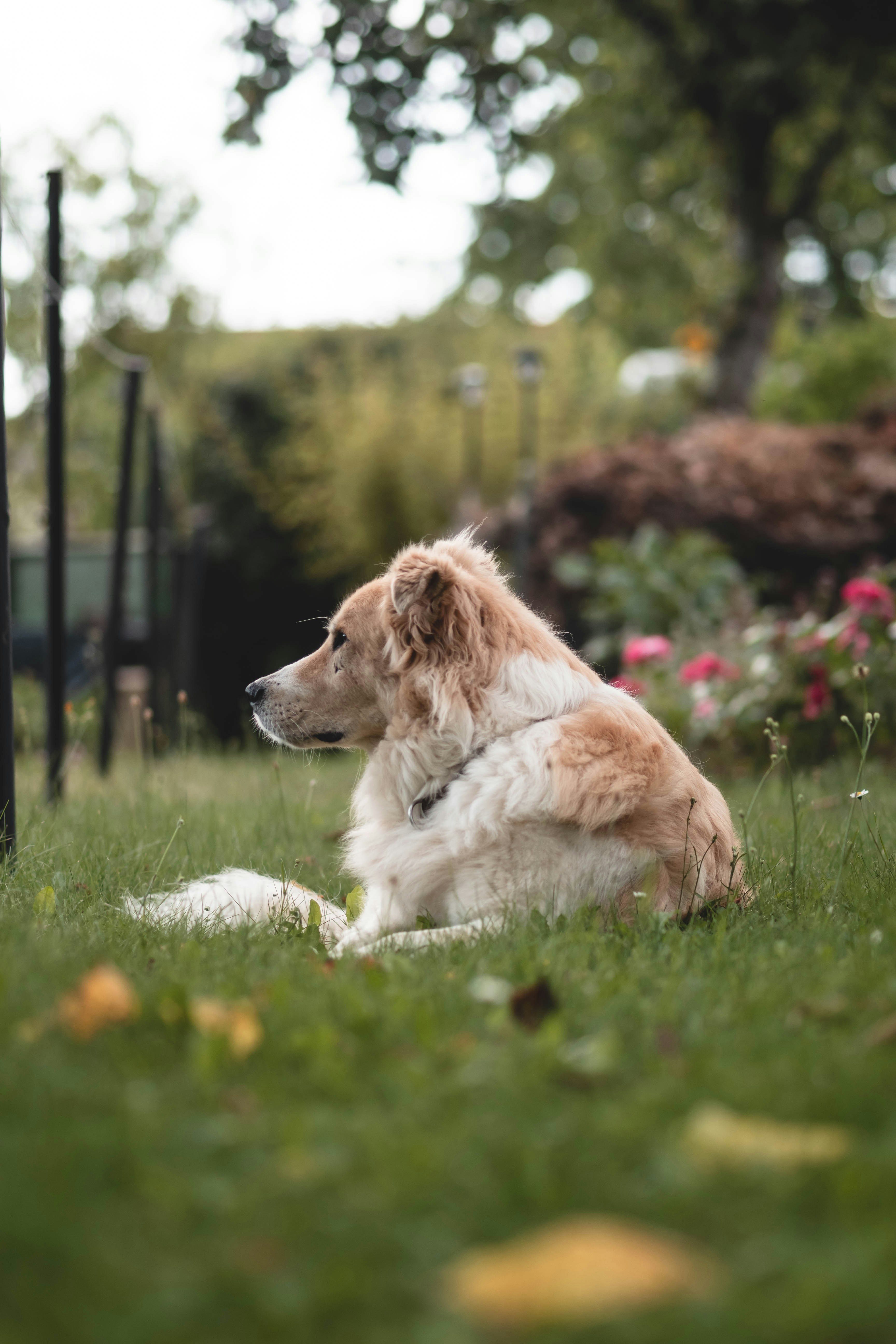 Photo by eileen_kummer