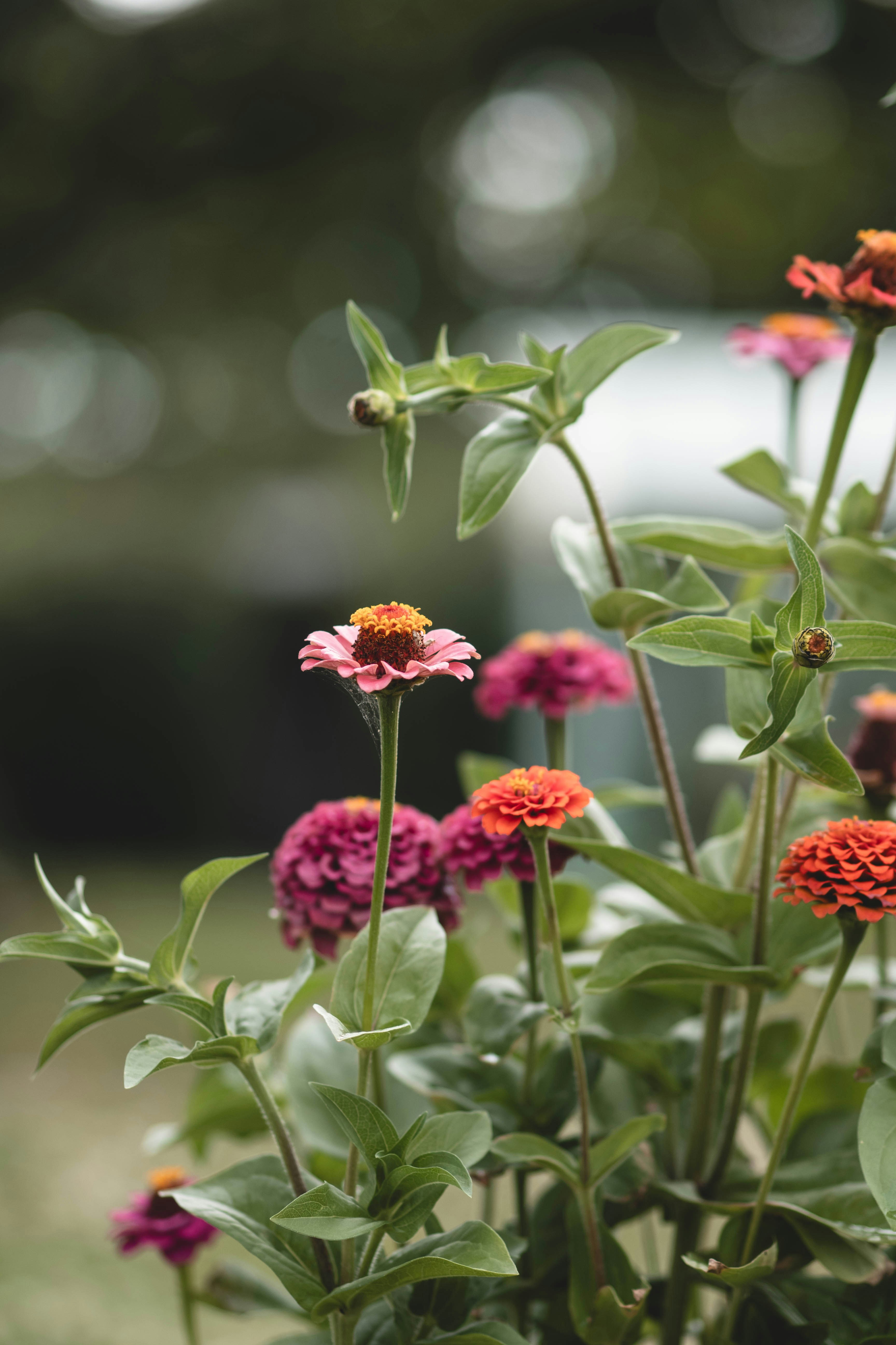 Photo by eileen_kummer